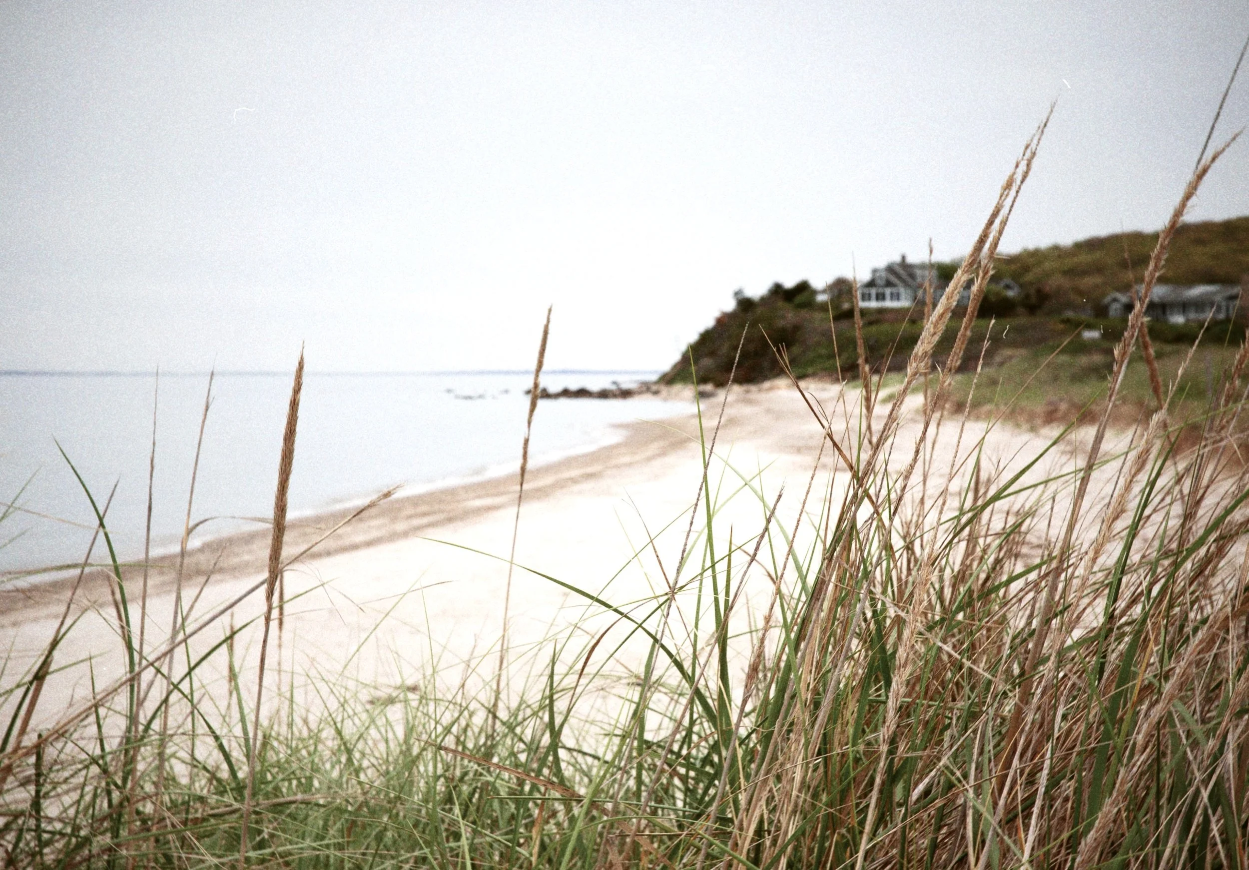 Beach scene with tall grass in the foreground, sandy shoreline, and houses on a hill in the background under a cloudy sky.