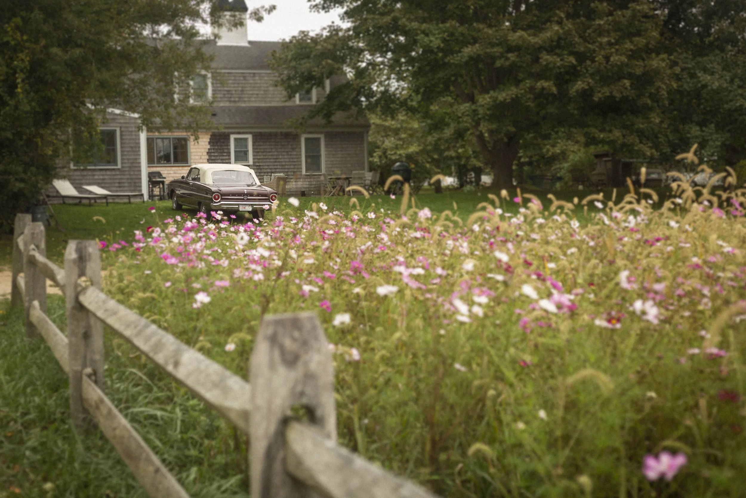 A vintage maroon convertible car parked on a grassy yard with pink and white flowers, surrounded by trees, with a house in the background and a wooden fence in the foreground.