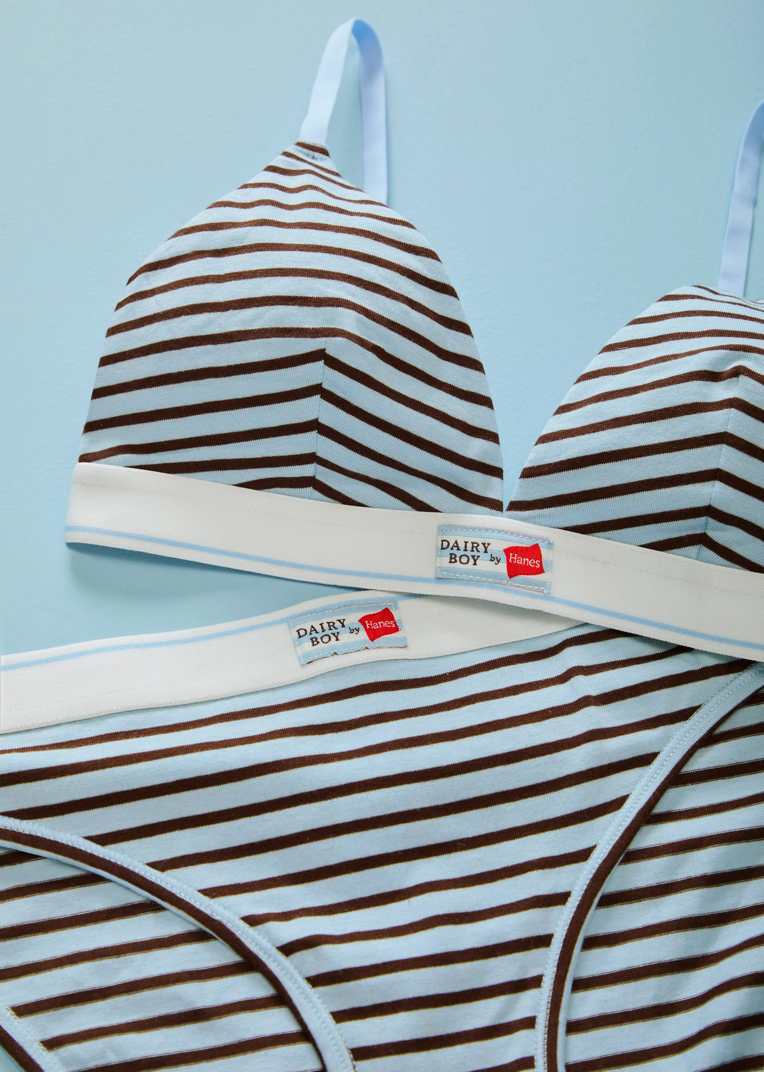 Close-up of a pair of striped underwear with a label that reads "Dairy Boy by Hanes" on a light blue background.