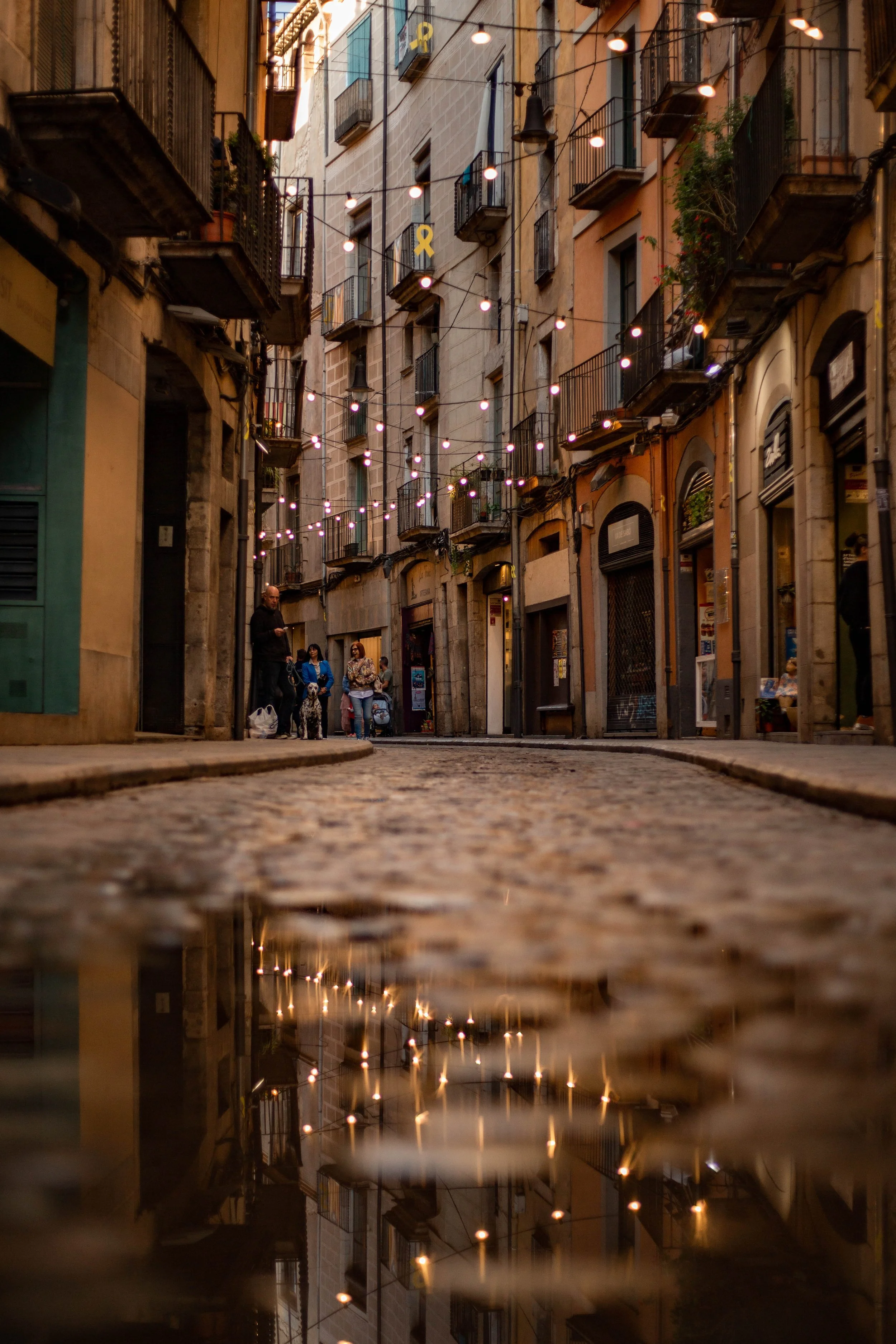 A narrow cobblestone street in a historic European city, decorated with hanging string lights and yellow ribbons. There are small balconies on the old buildings with plants, and a few people walking with dogs beneath the evening sky. The street's ref