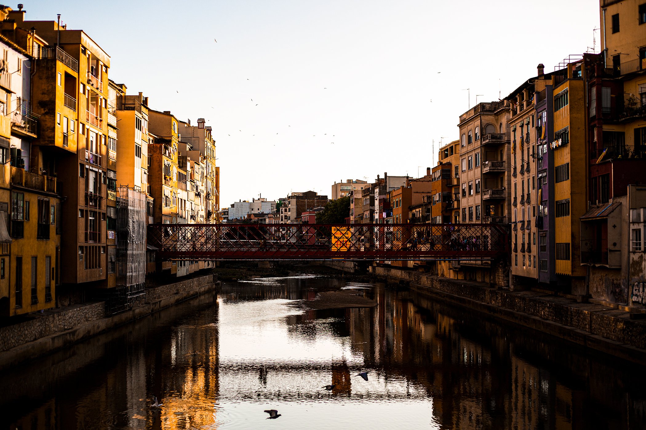 A cityscape of colorful apartment buildings lined along a river with a red footbridge crossing over it, and birds flying and swimming in the water during sunset or early evening.