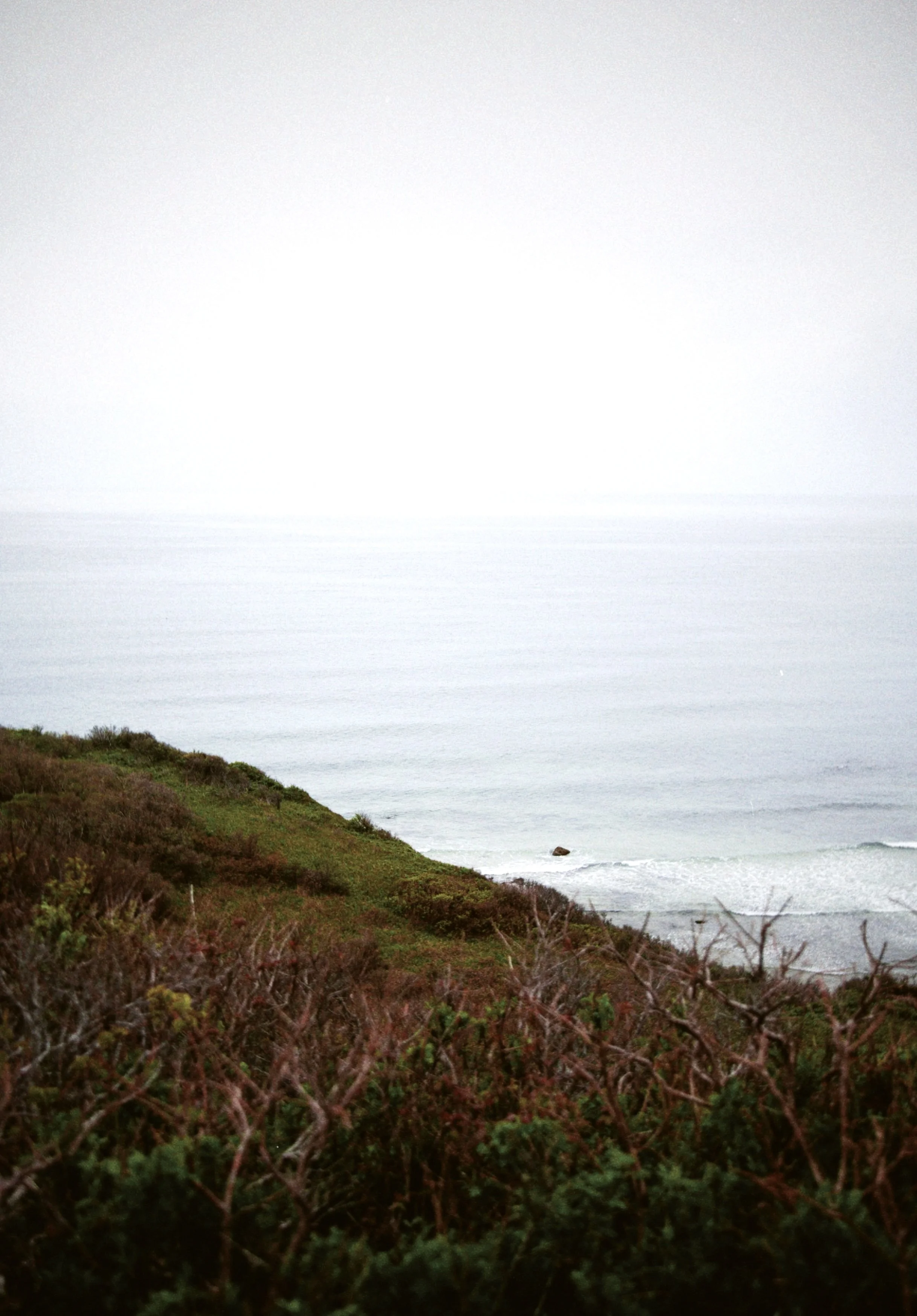 A coastal landscape with green bushes in the foreground, a sandy beach, and the ocean stretching into the horizon under an overcast sky.