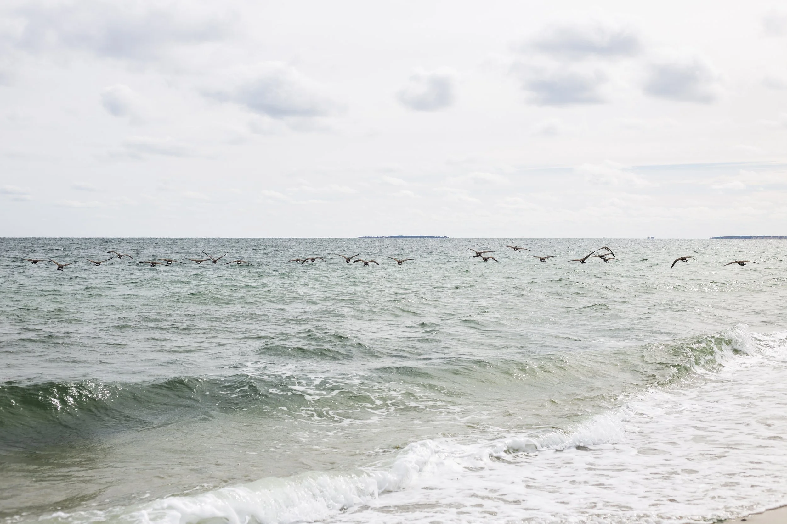 A group of seagulls flying low over the ocean near the shore on a cloudy day.