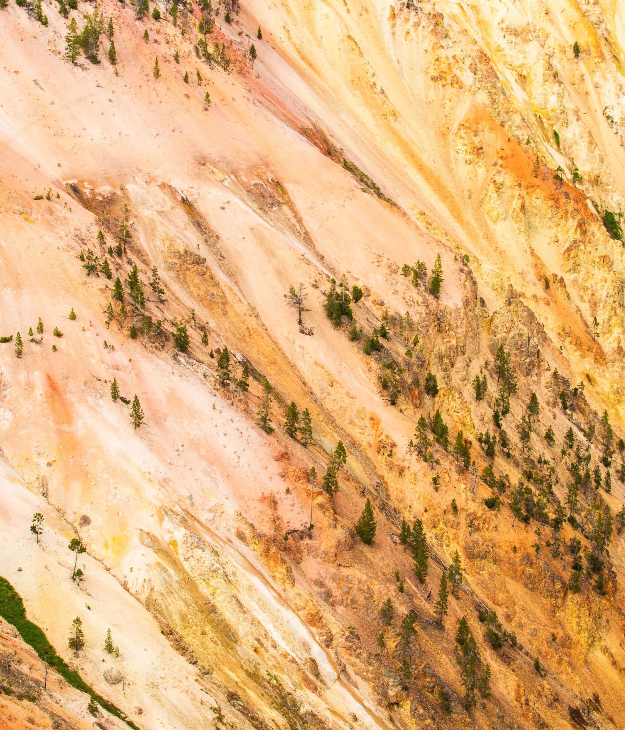 Aerial view of a colorful mountainous landscape with a variety of hues including orange, yellow, pink, and green, featuring scattered trees.