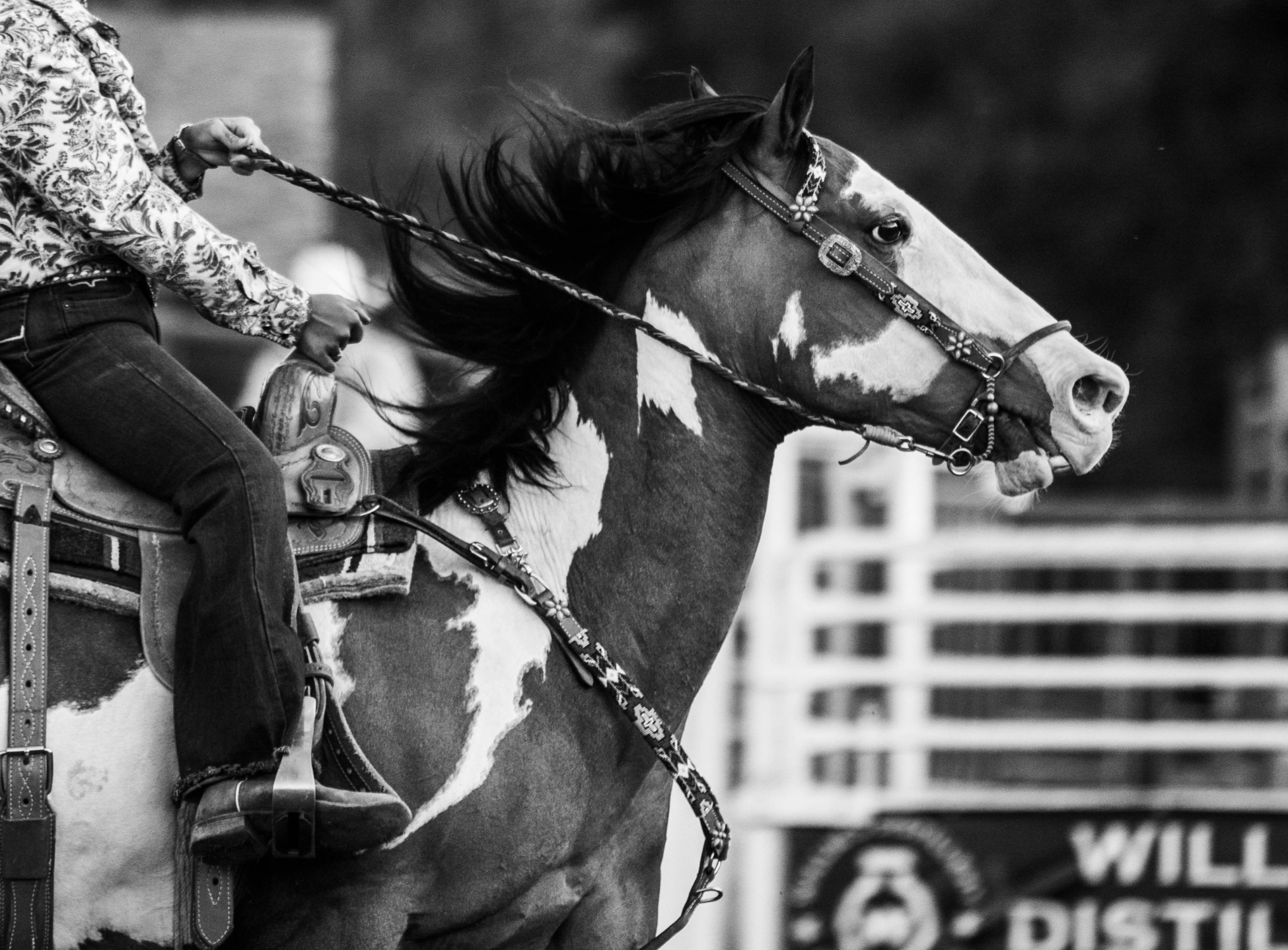 Screenshot 2024-08-08 at 6.43.52 PM.png