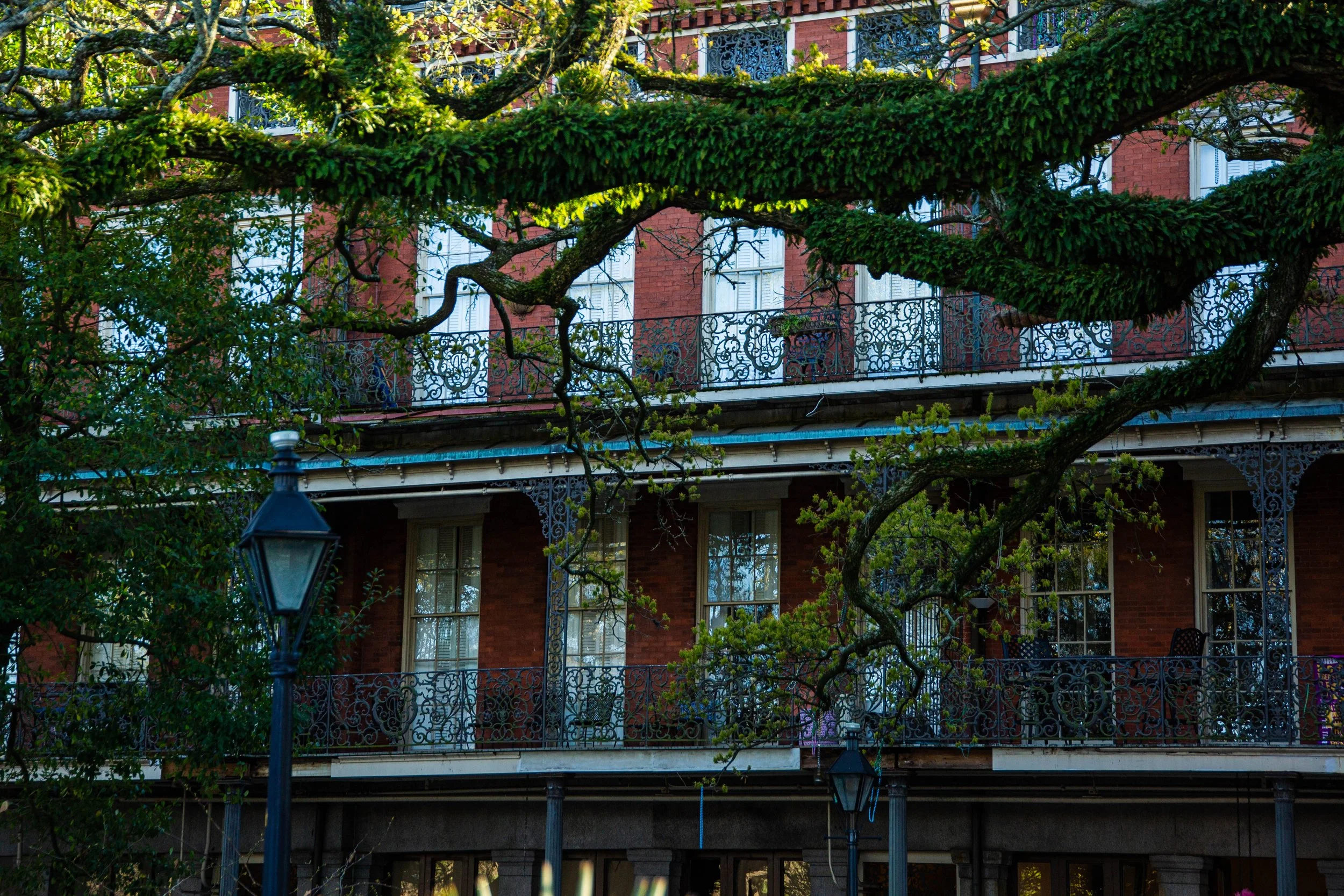 A red brick multi-story building with decorative wrought iron railings on the balcony, partially obscured by large tree branches covered in moss or lichen in the foreground. A street lamp is also visible.