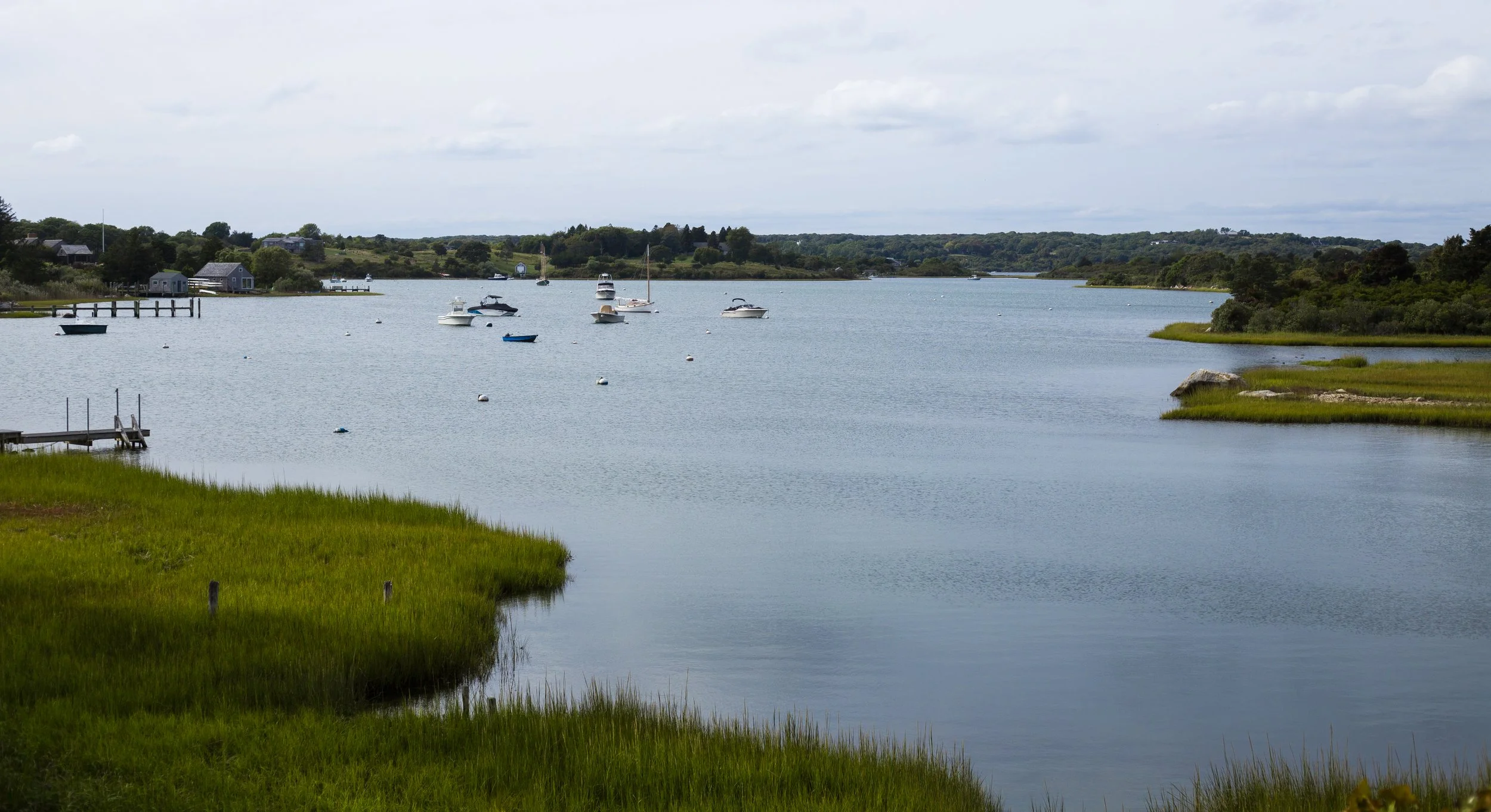A scenic view of a calm river with various boats floating, green grassy banks, and small houses on the land across the water, under a cloudy sky.