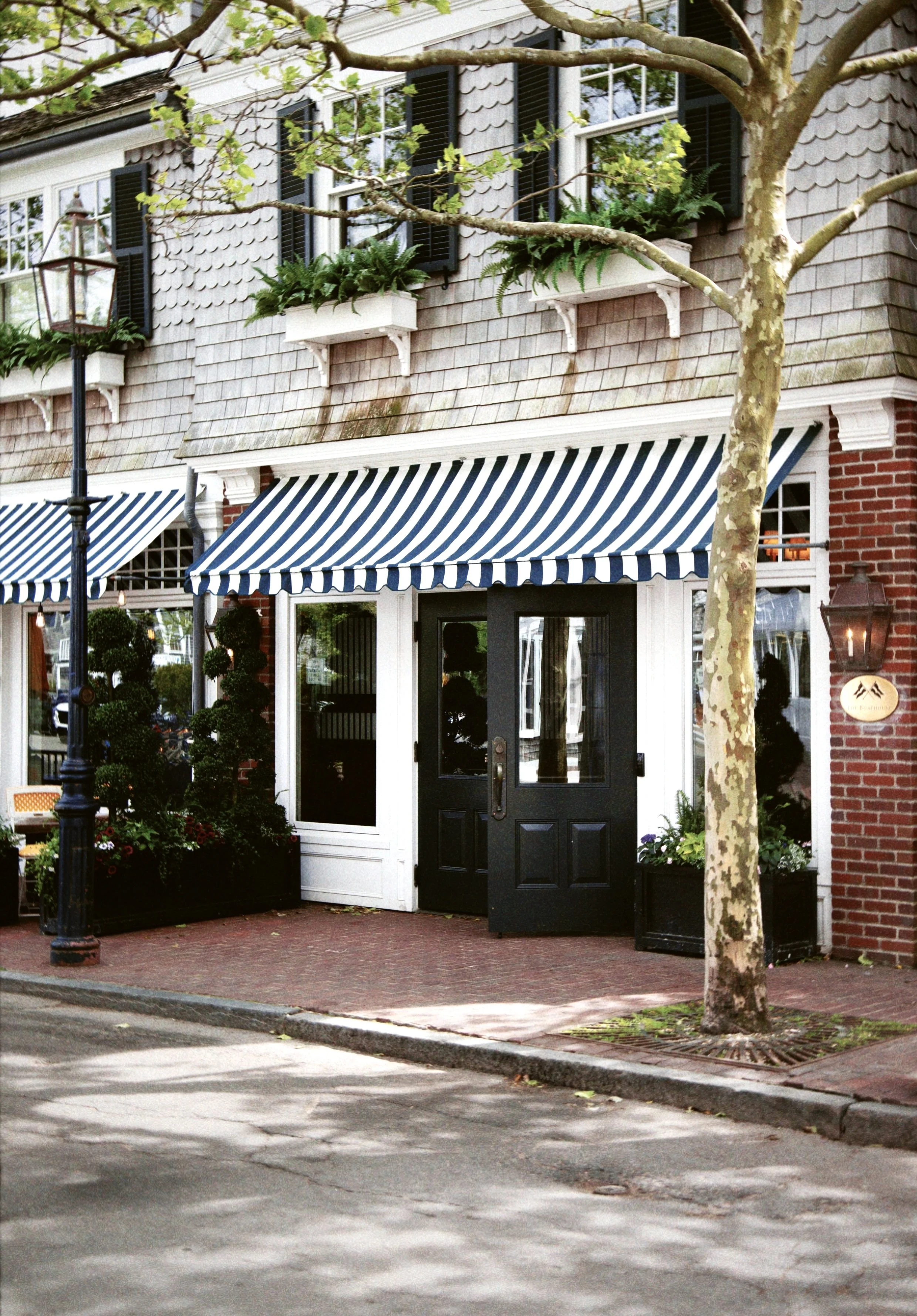 Exterior of a shop with a black door, window, and blue and white striped awnings. There are potted plants and trees outside, a black lamppost, and a red brick sidewalk.