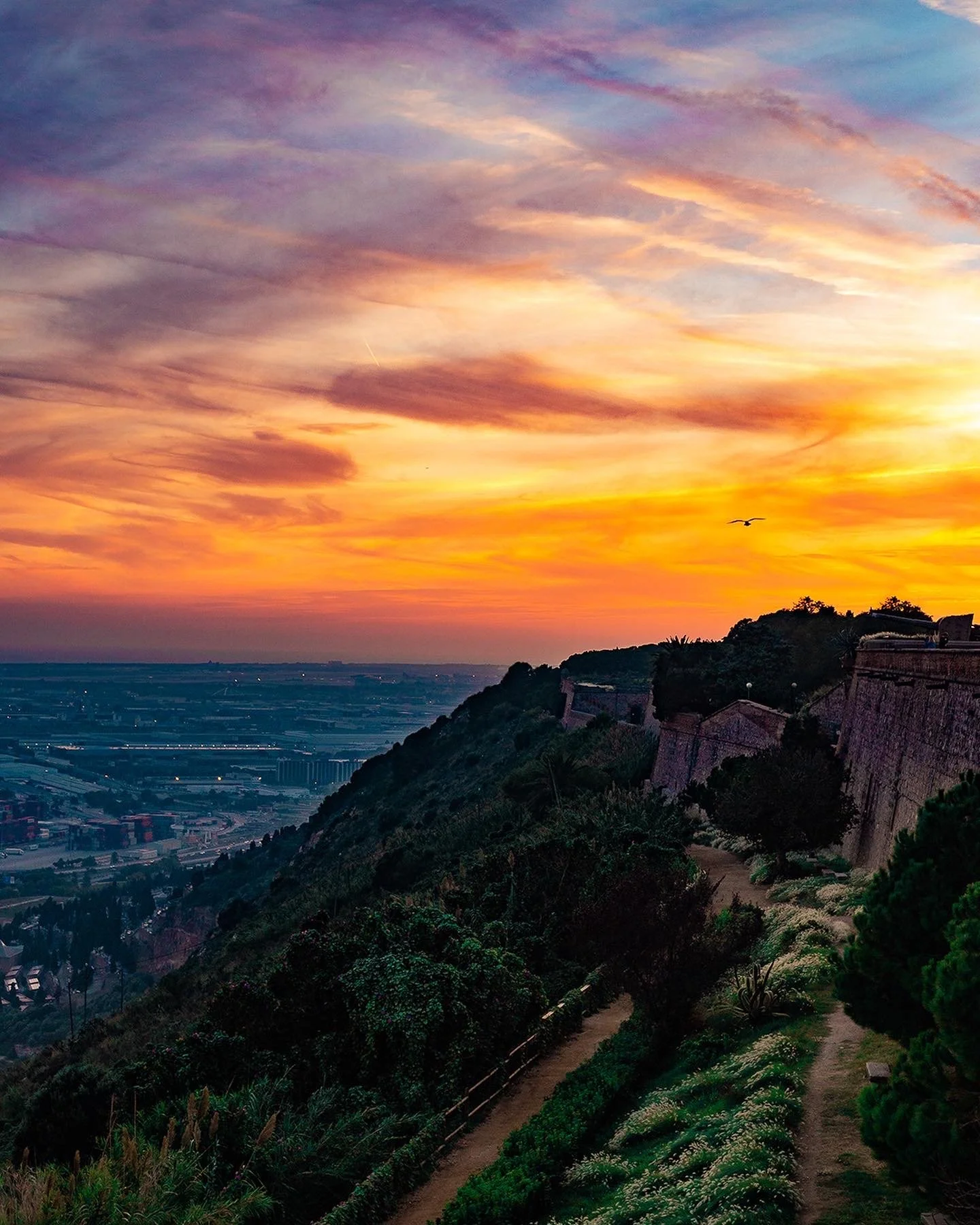 Sunset over a hillside garden with a dirt pathway, lush green plants, and a cityscape in distance.