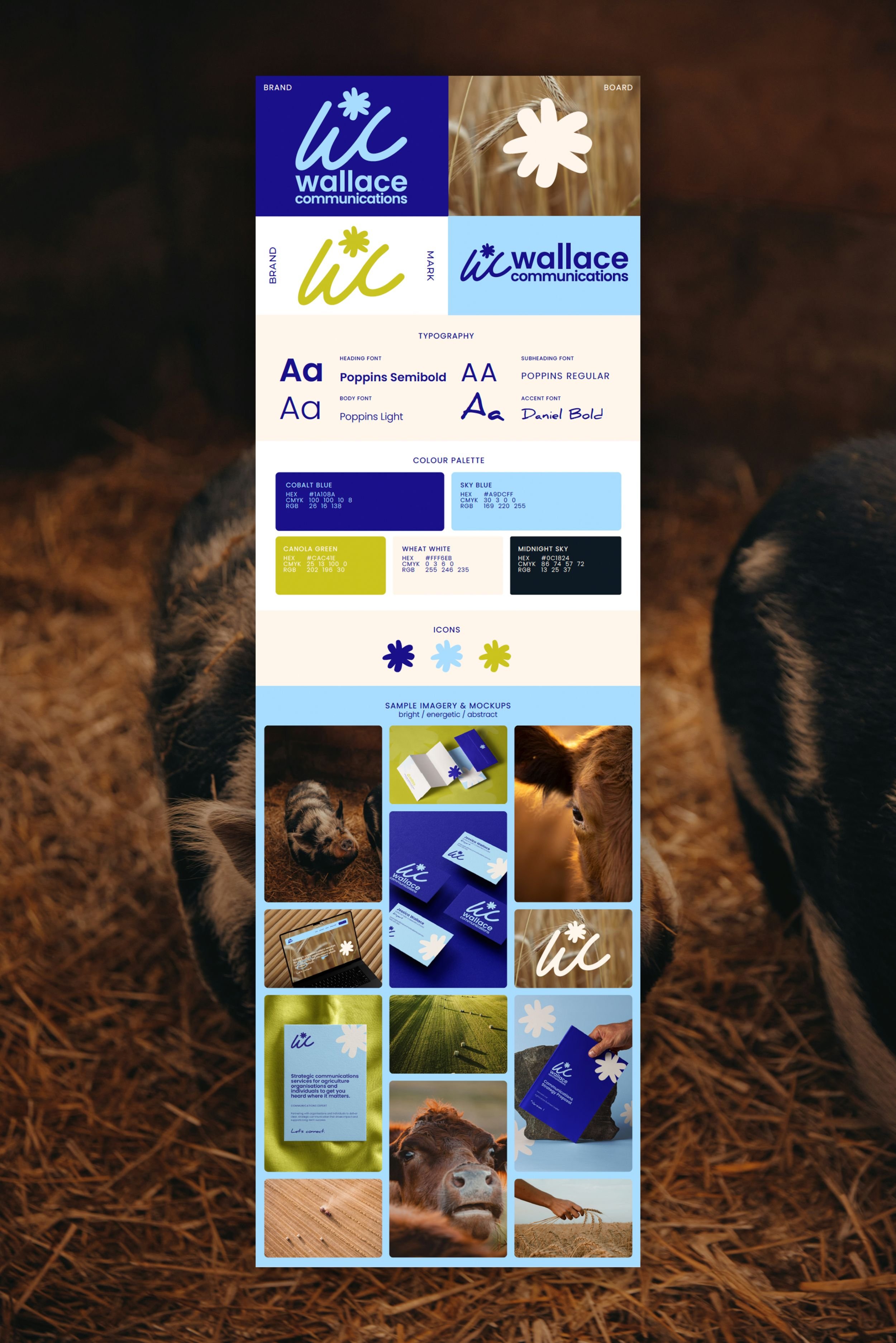 Raego Creative - Wallace Communications Branding-11.jpeg