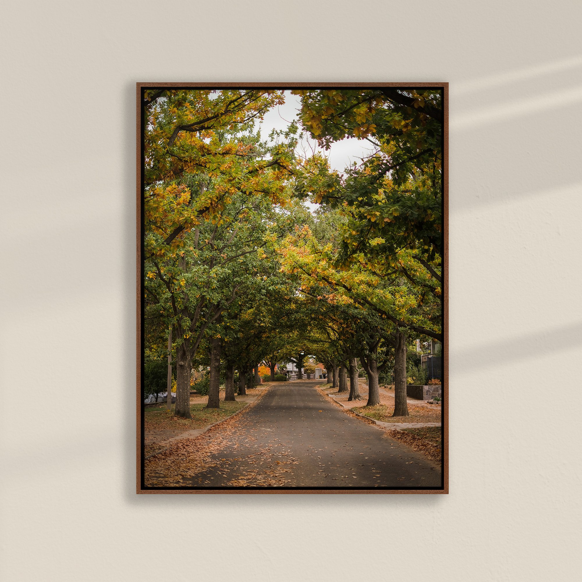 Autumn-Walk-001-Walnut-Canvas.jpg