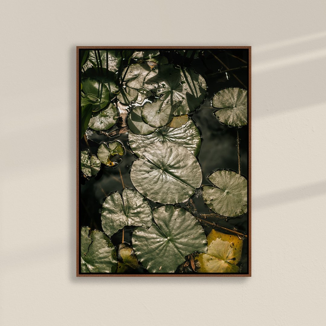 Pond-001-Walnut-Canvas.jpg