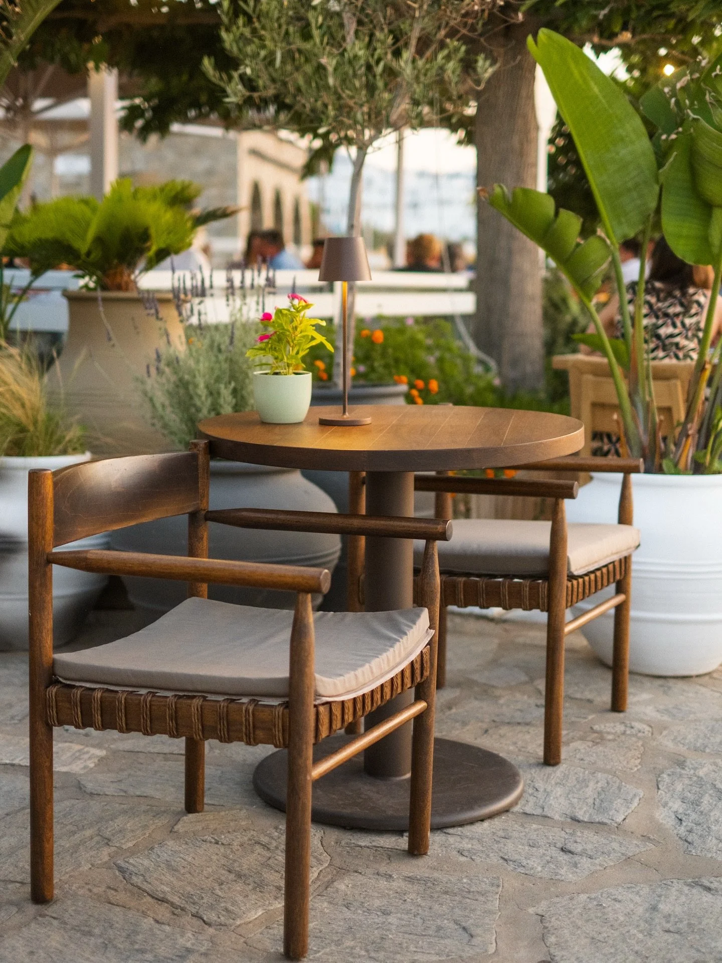 Still swooning over all the gorgeous outdoor furniture we were surrounded by in Greece 🪑✨
Check out more of my favourite design moments from our trip via the Read tab at link in my bio 🔗
