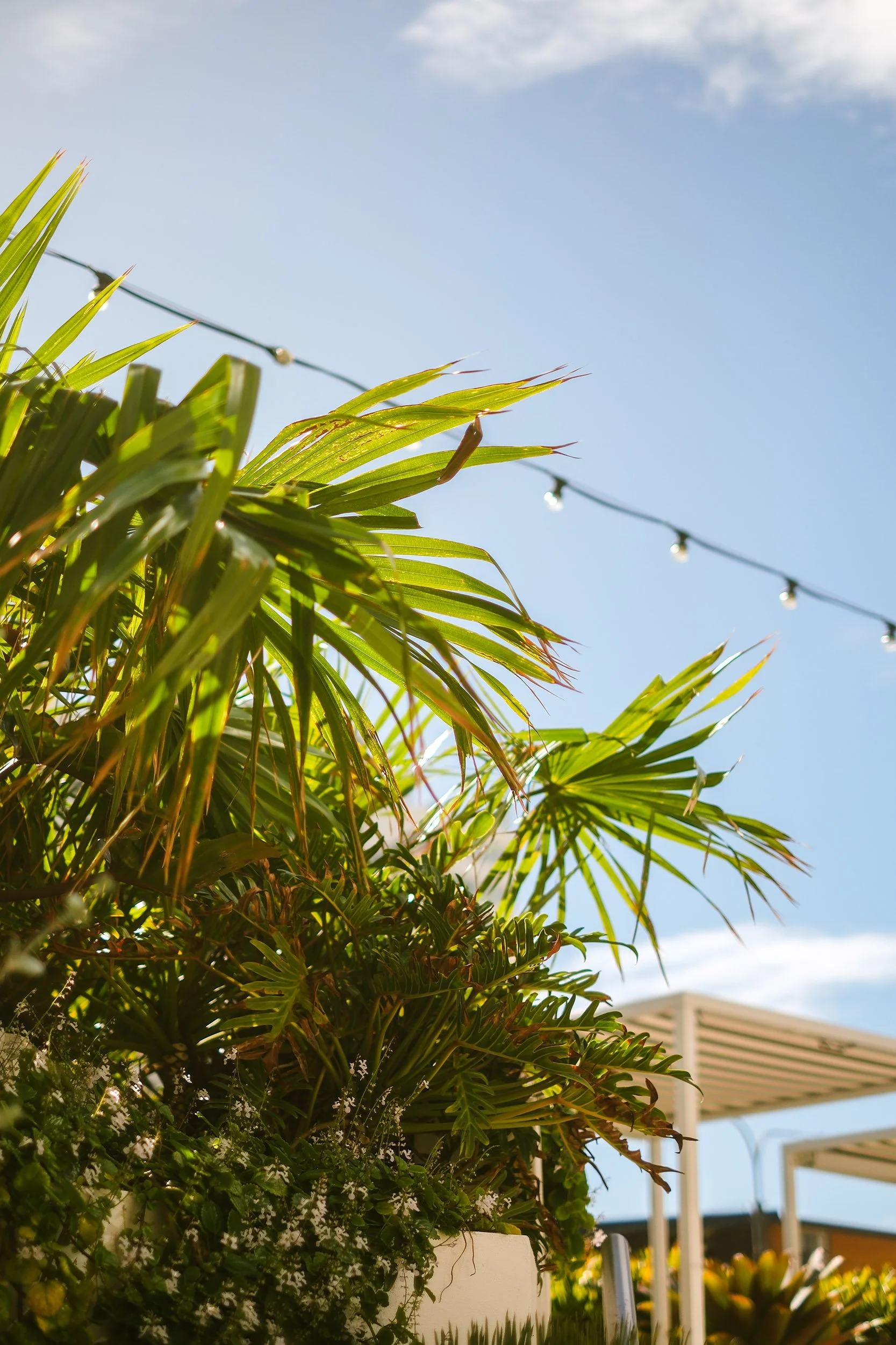 Going coastal: Raego Creative is moving to the Gold Coast in 2026