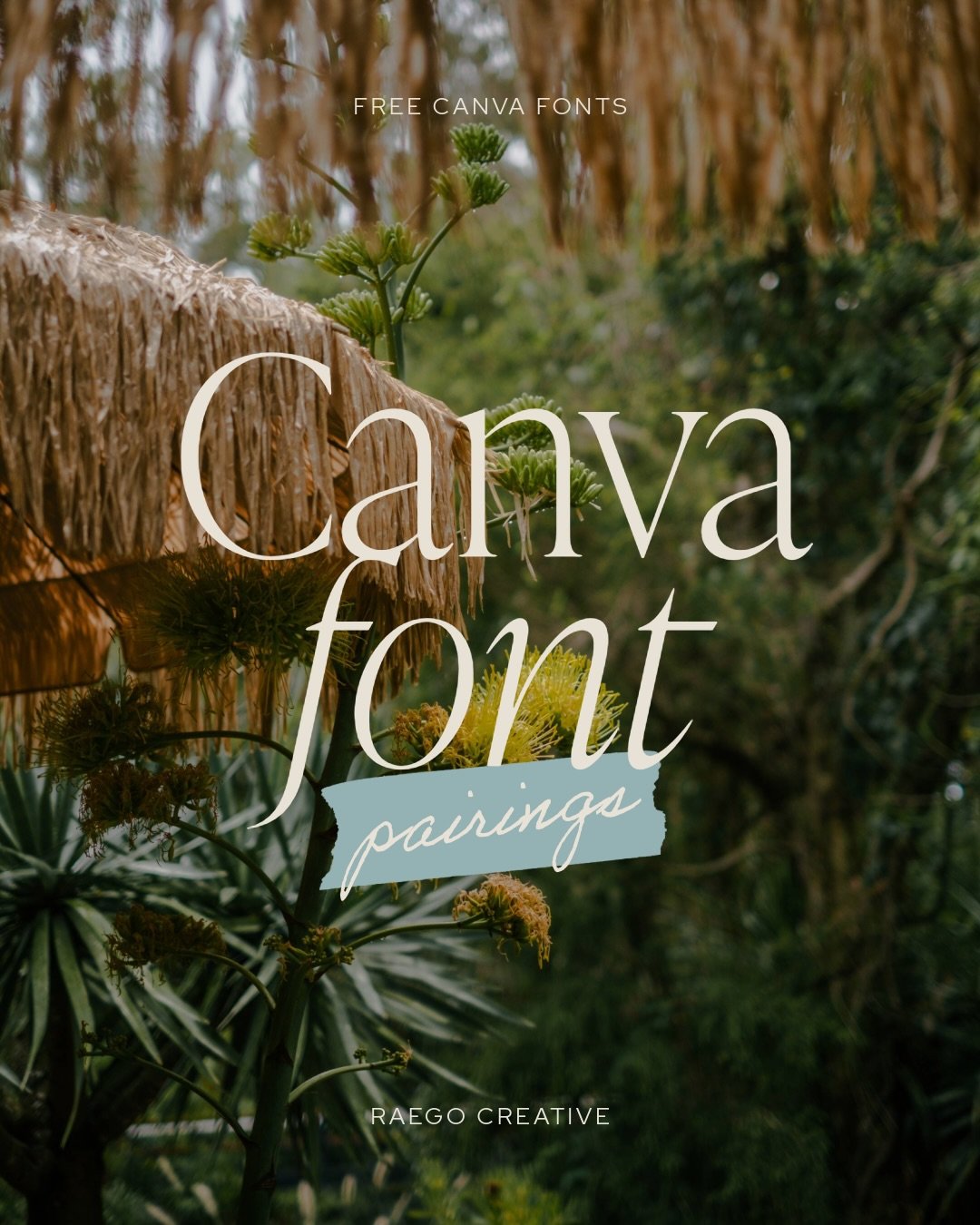Dropping some of my favourite ✨FREE✨ Canva font pairings for your Friday inspiration 🫶
