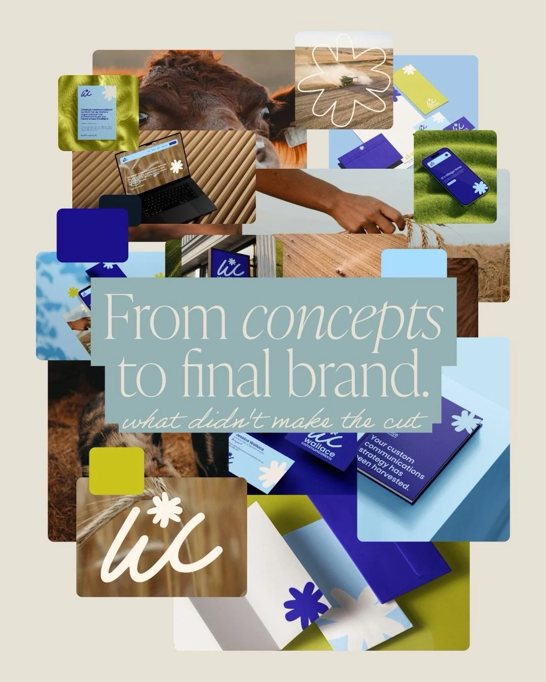 I don&rsquo;t always provide multiple concepts when presenting a branding project &ndash; but when you have three that are equally WOW like this project, you just have to pitch them all! 💫

Sometimes (usually) when working on a branding project, I w