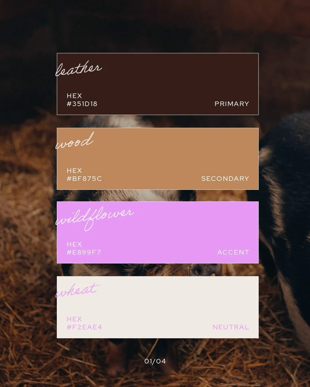 Ending the week with some fresh colour palette inspo! 🎨🫟

Which one is your favourite? 🙇&zwj;♀️