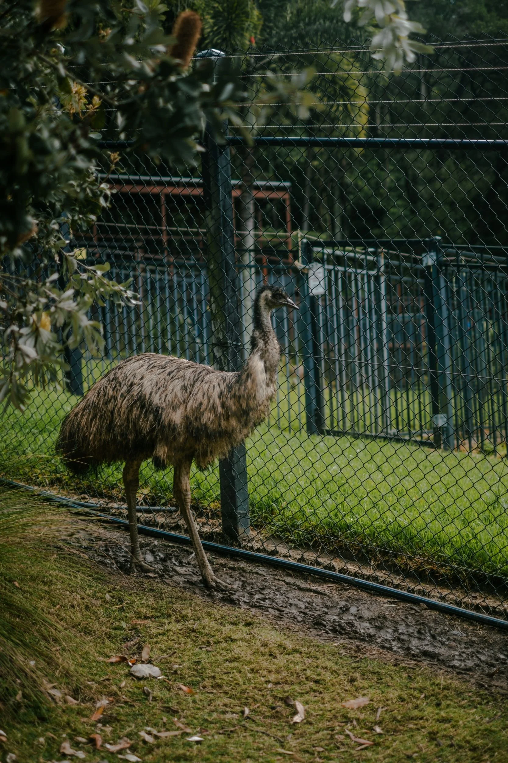 Raego Creative Currumbin Wildlife Sanctuary Photography April 2026-01.jpeg