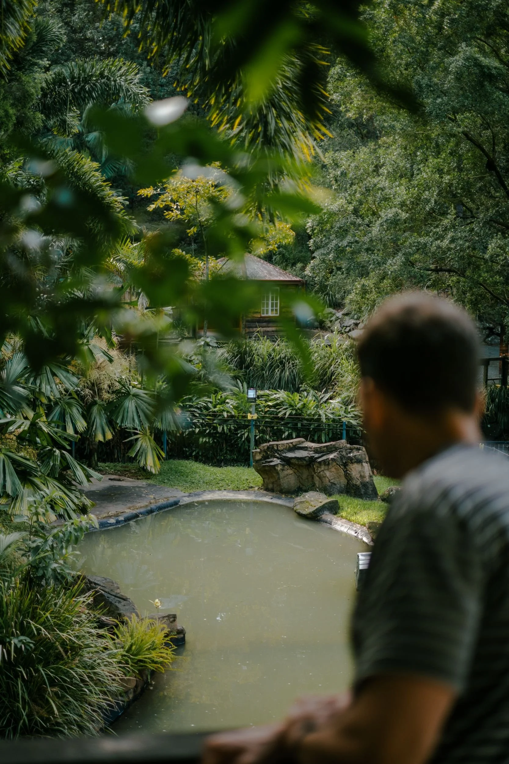 Raego Creative Currumbin Wildlife Sanctuary Photography April 2026-33.jpeg