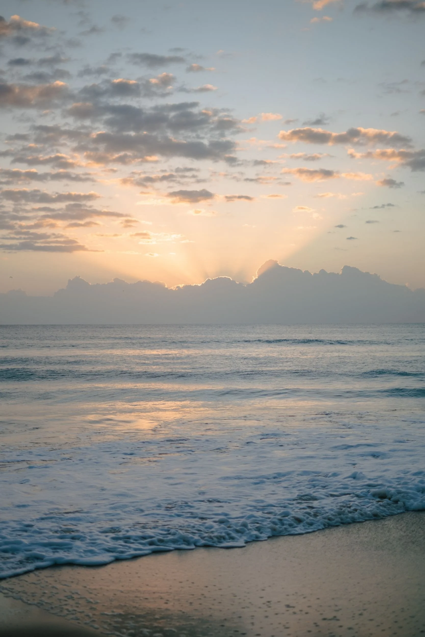 Raego Creative Southern Gold Coast Lifestyle Photography February-April 2026-14.jpeg