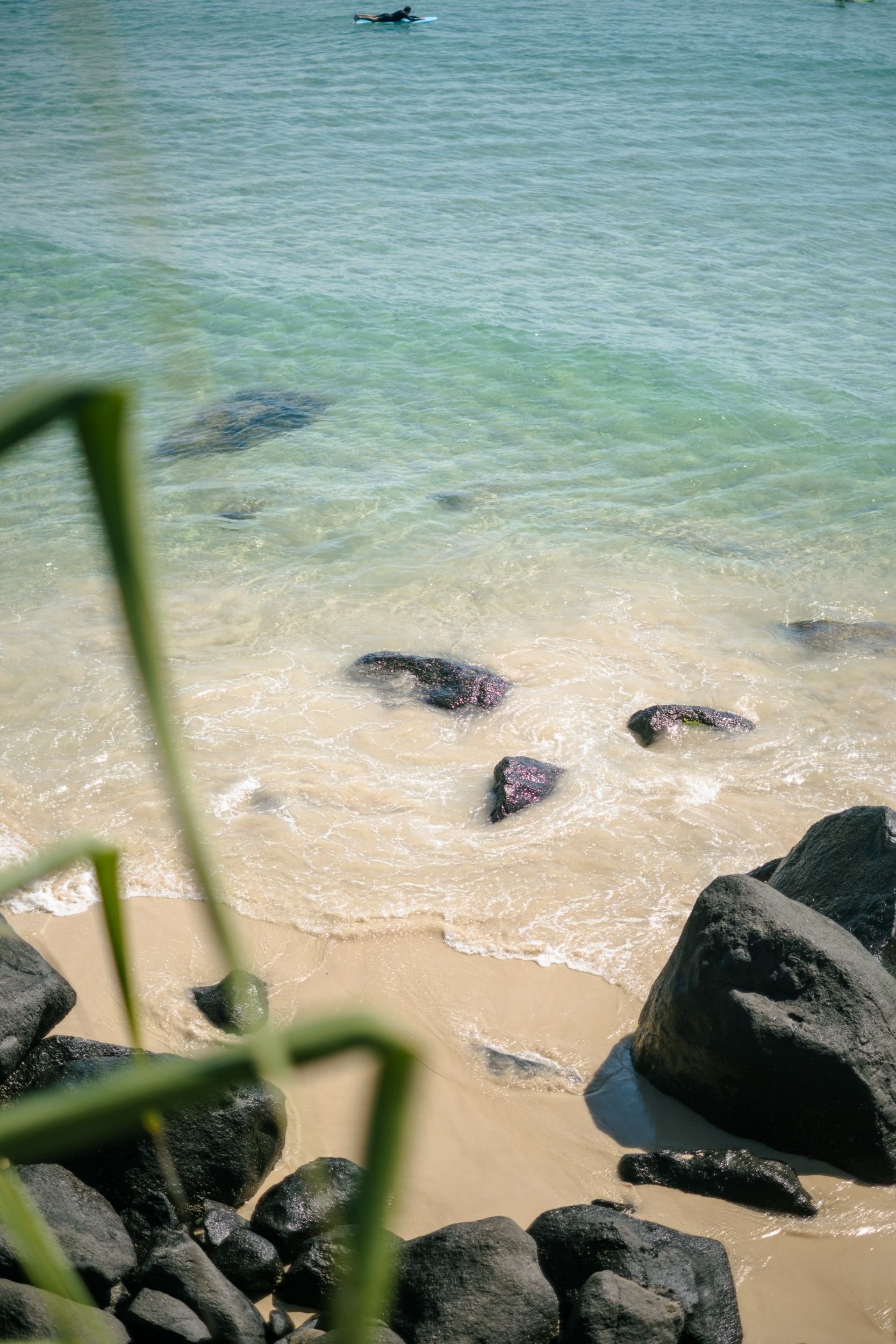 Raego Creative Southern Gold Coast Lifestyle Photography February-April 2026-21.jpeg