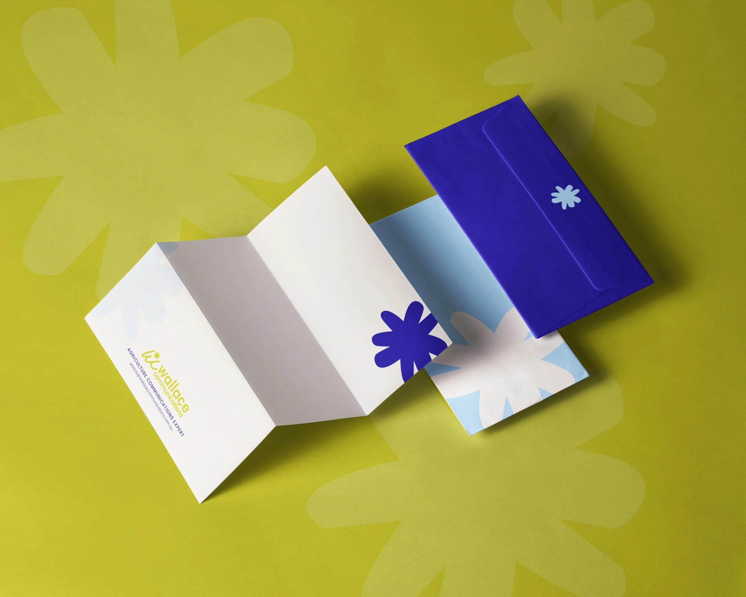 Raego Creative - Wallace Communications Branding-01.jpeg