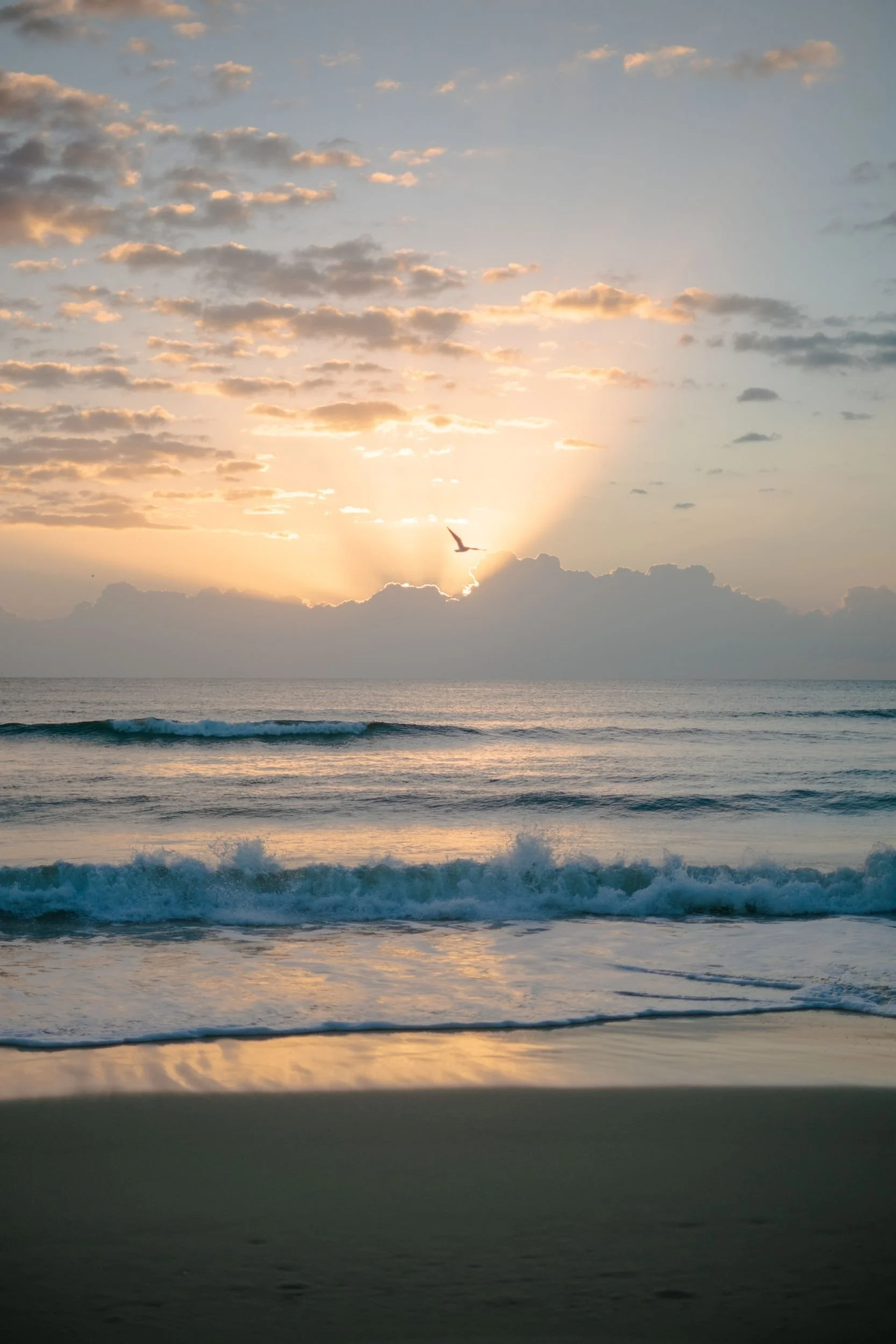Raego Creative Southern Gold Coast Lifestyle Photography February-April 2026-15.jpeg