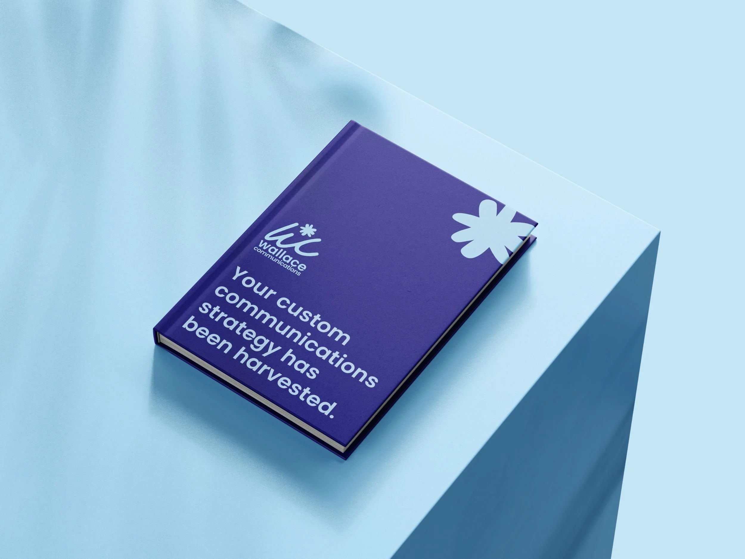 Raego Creative - Wallace Communications Branding-10.jpeg