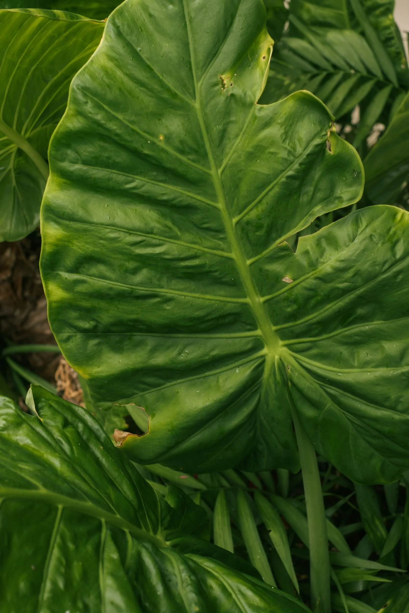 Raego Creative Southern Gold Coast Lifestyle Photography February-April 2026-25.jpeg