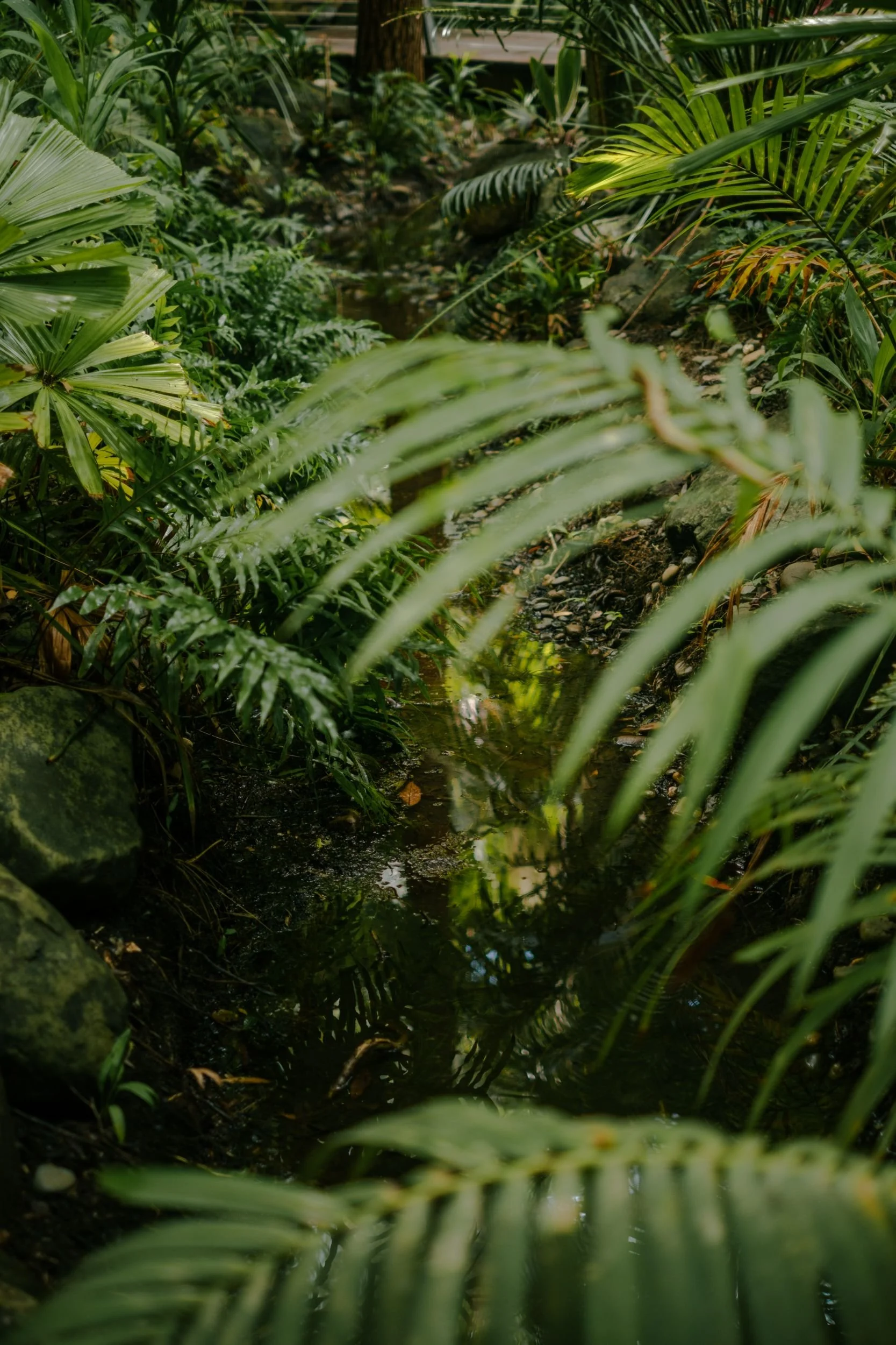 Raego Creative Currumbin Wildlife Sanctuary Photography April 2026-12.jpeg