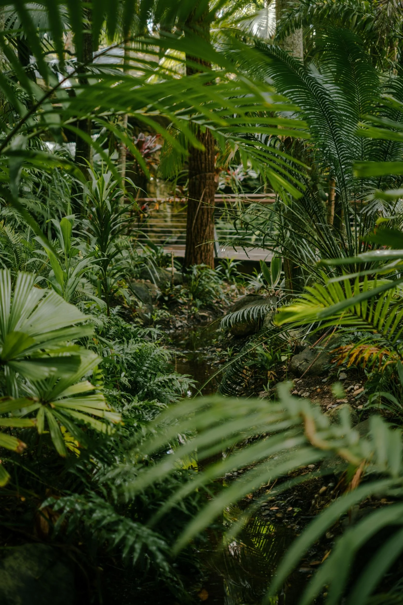 Raego Creative Currumbin Wildlife Sanctuary Photography April 2026-13.jpeg