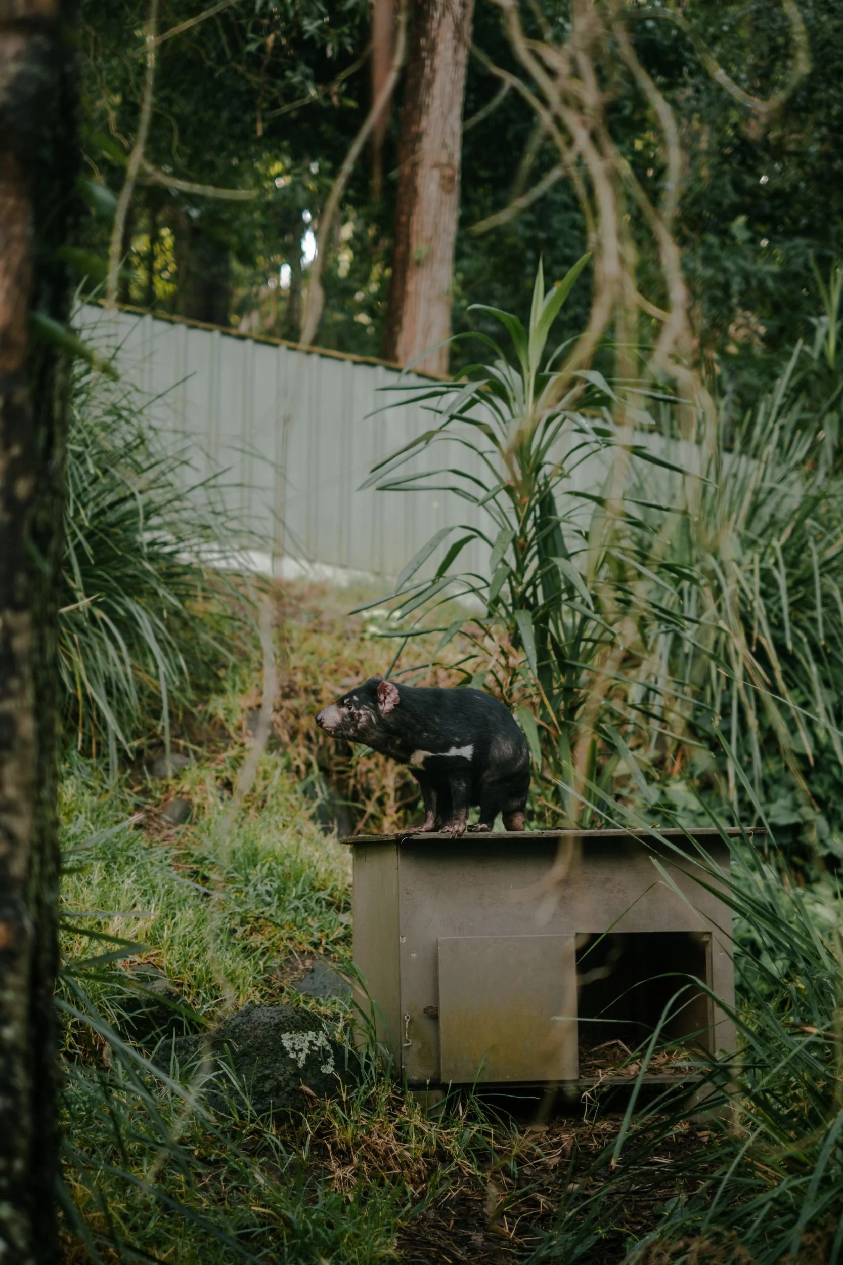 Raego Creative Currumbin Wildlife Sanctuary Photography April 2026-22.jpeg