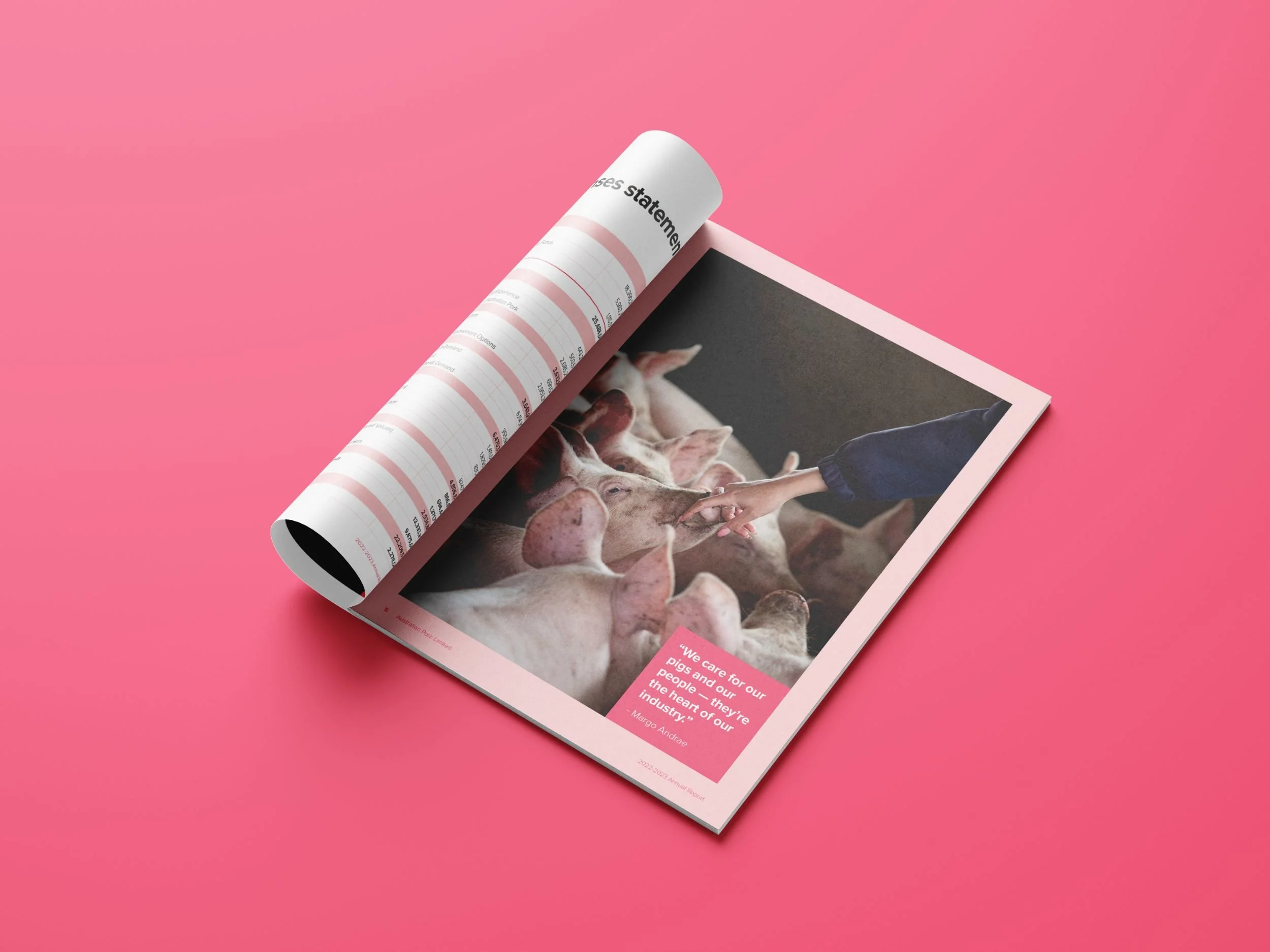 Raego Creative Australian Pork Annual Report 2022-23 Publication Design-02.jpeg