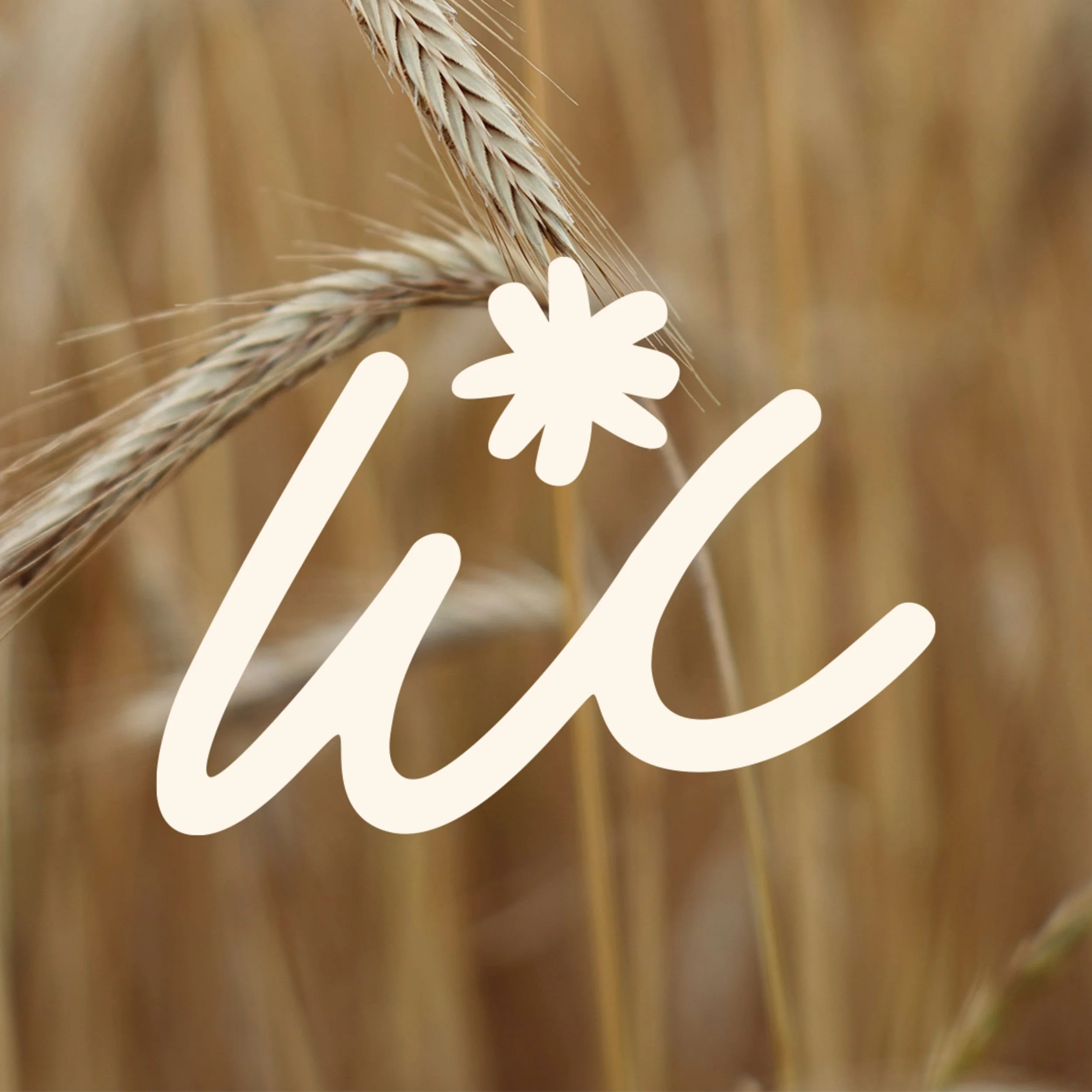 Raego Creative - Wallace Communications Branding-08.jpeg