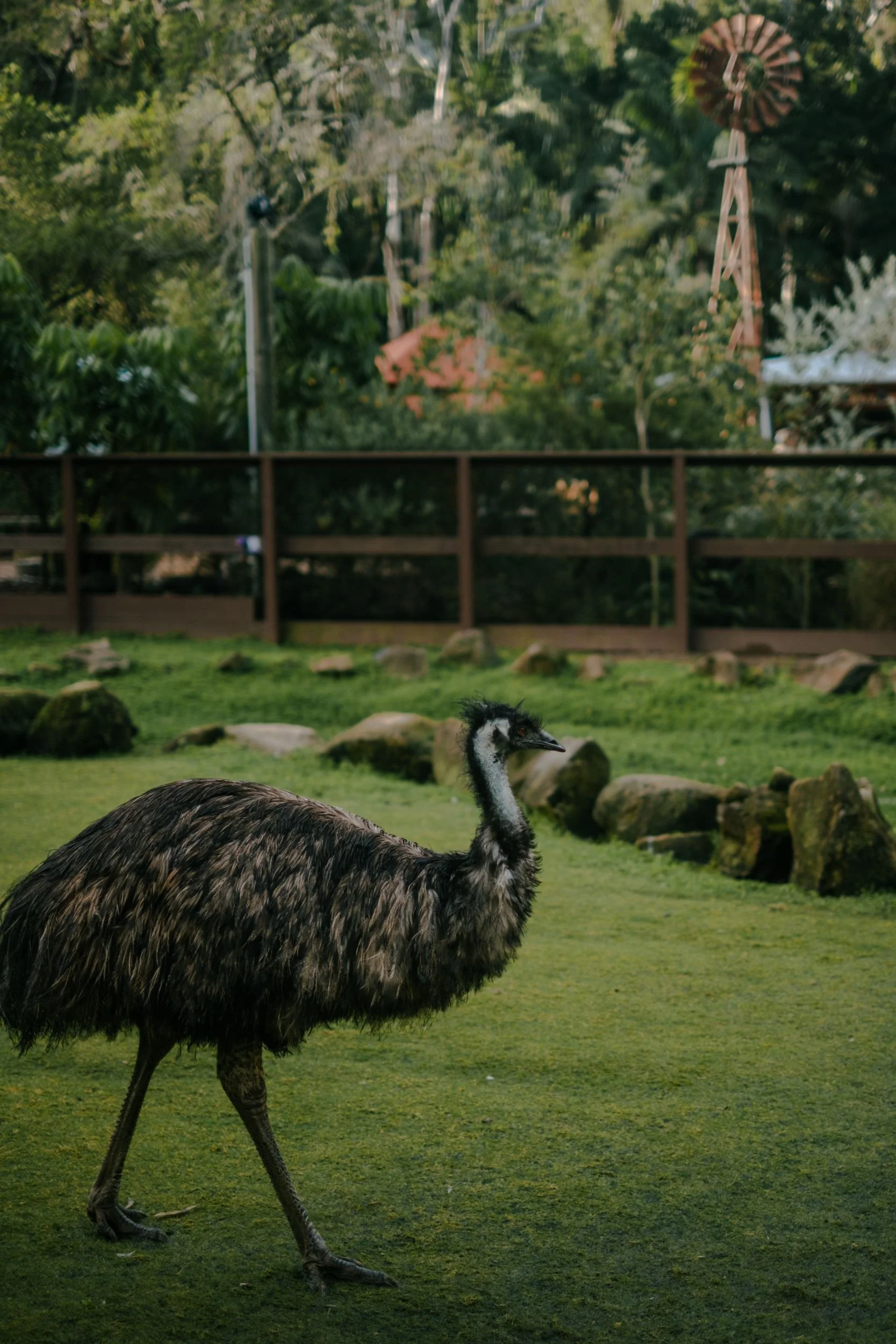 Raego Creative Currumbin Wildlife Sanctuary Photography April 2026-35.jpeg