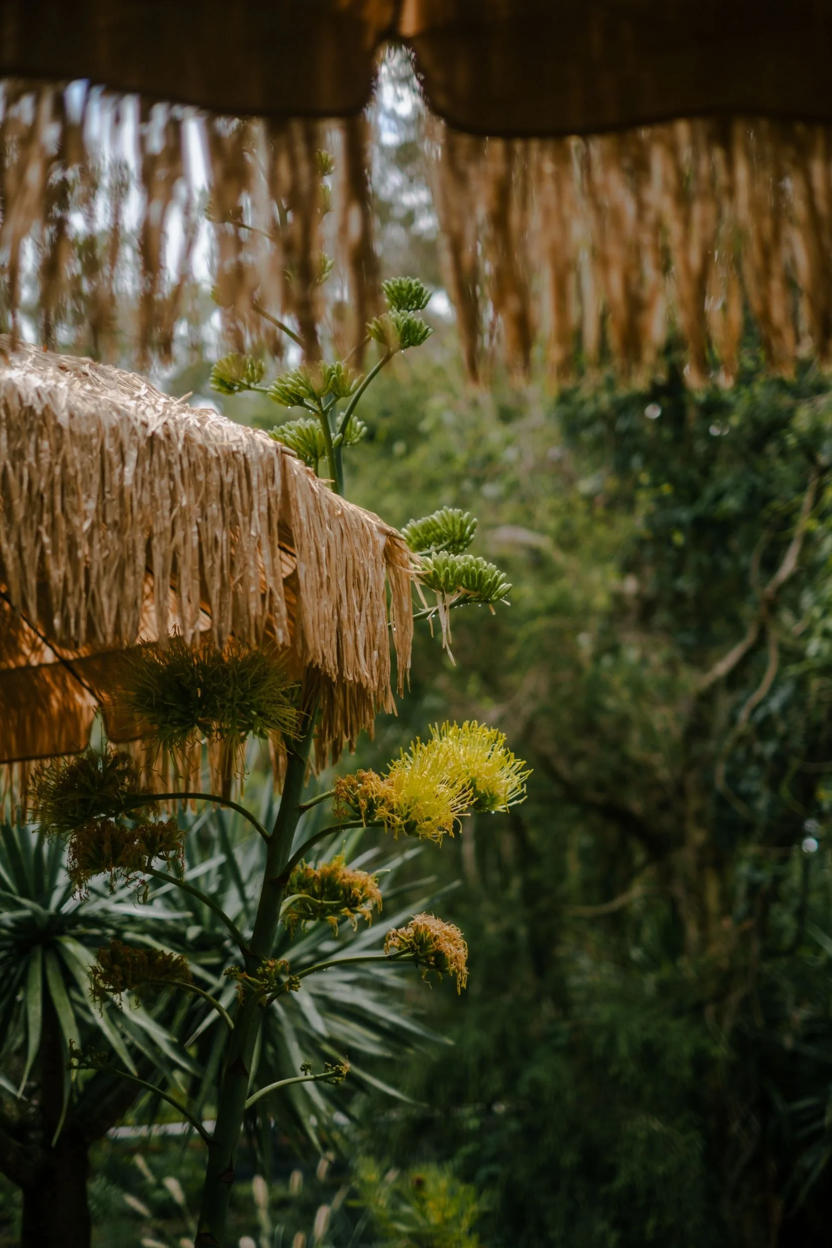 Raego Creative Currumbin Wildlife Sanctuary Photography April 2026-03.jpeg