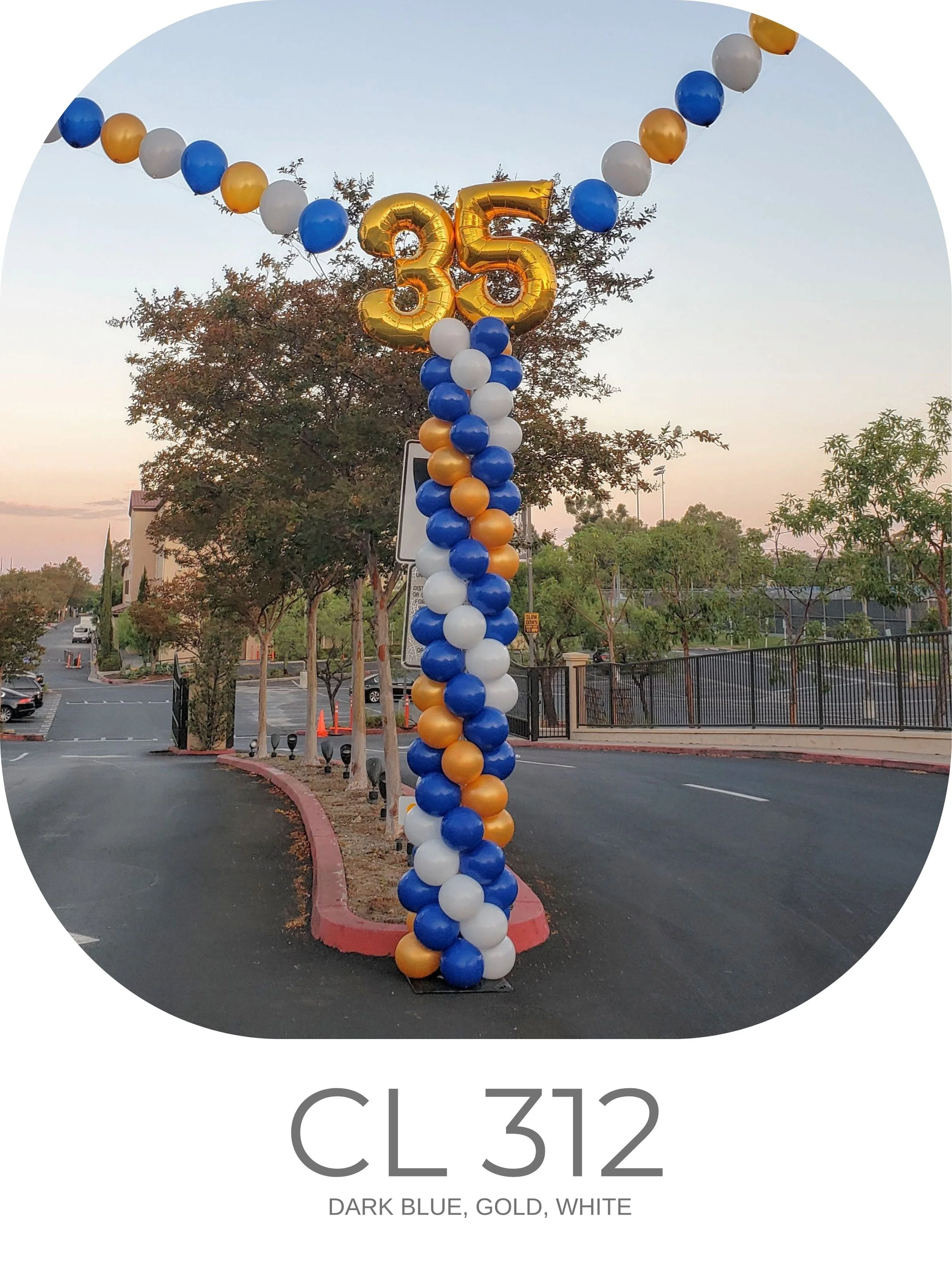 CL 312.jpg