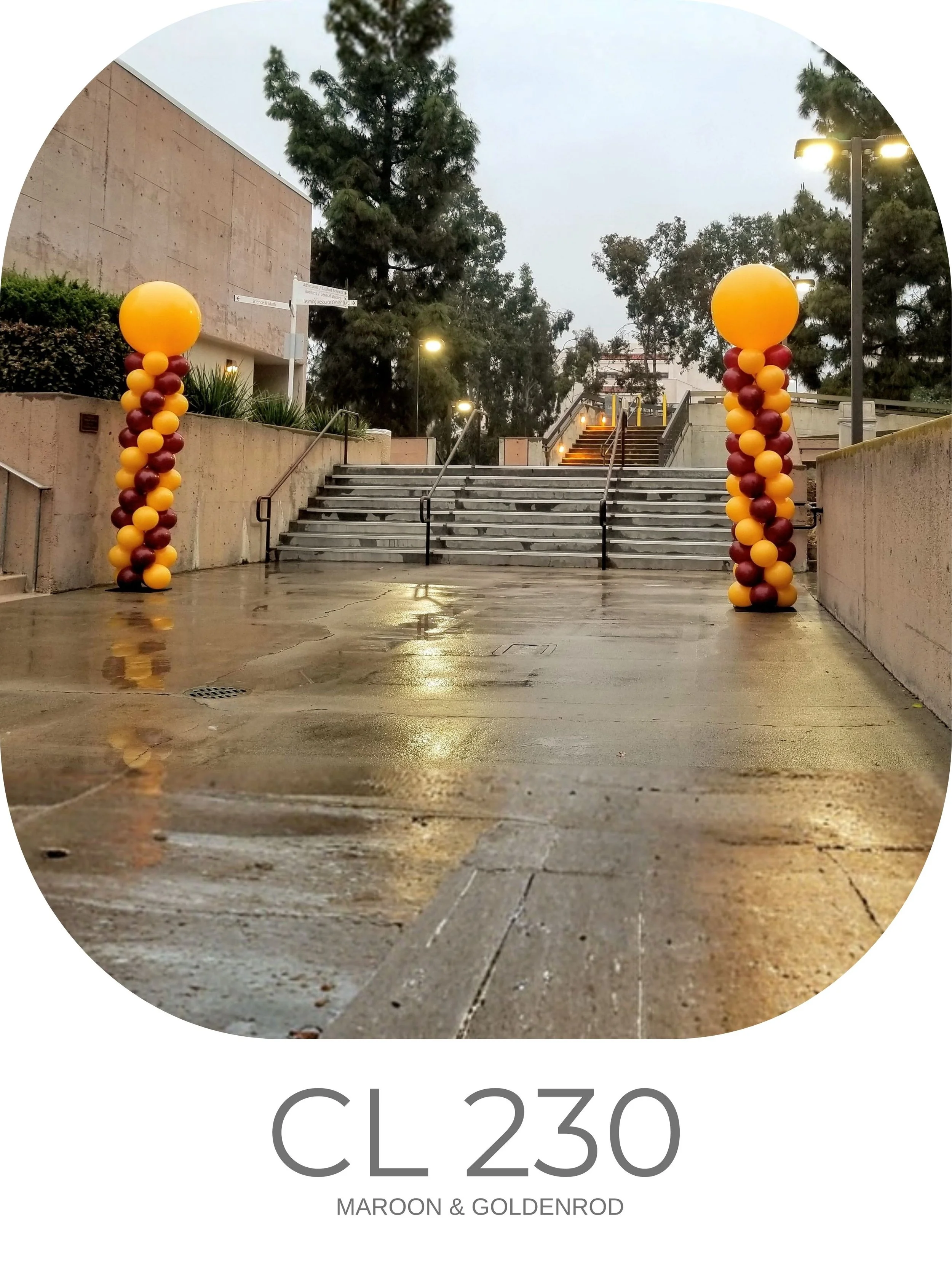 CL 230.jpg