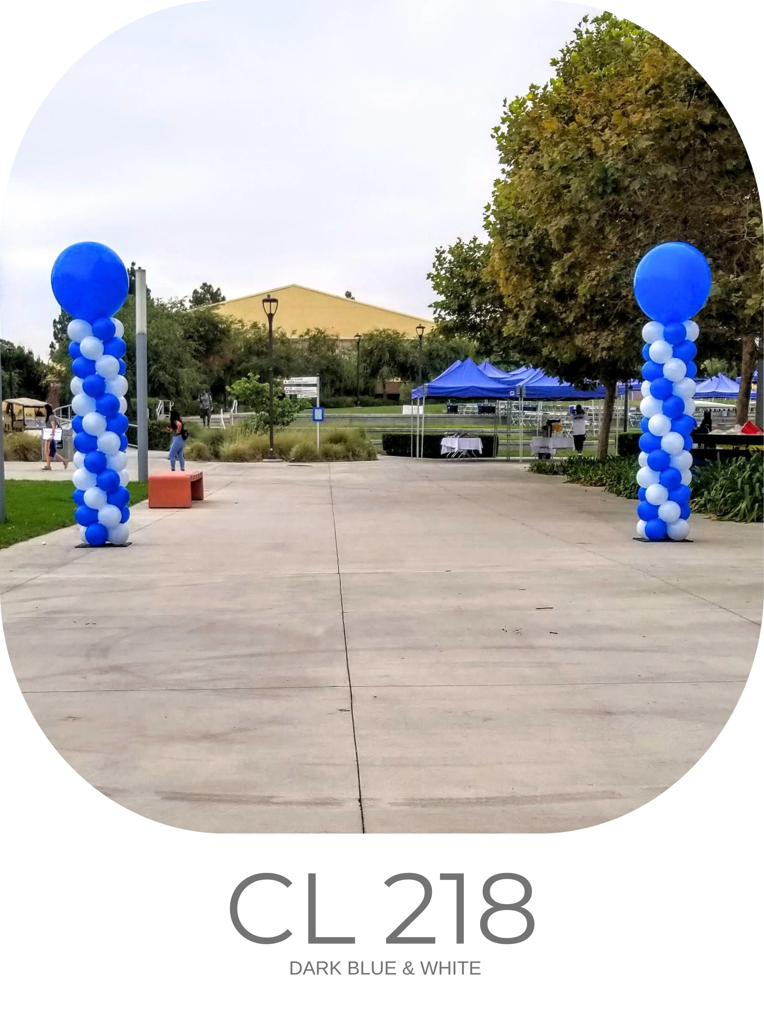 CL 218.jpg