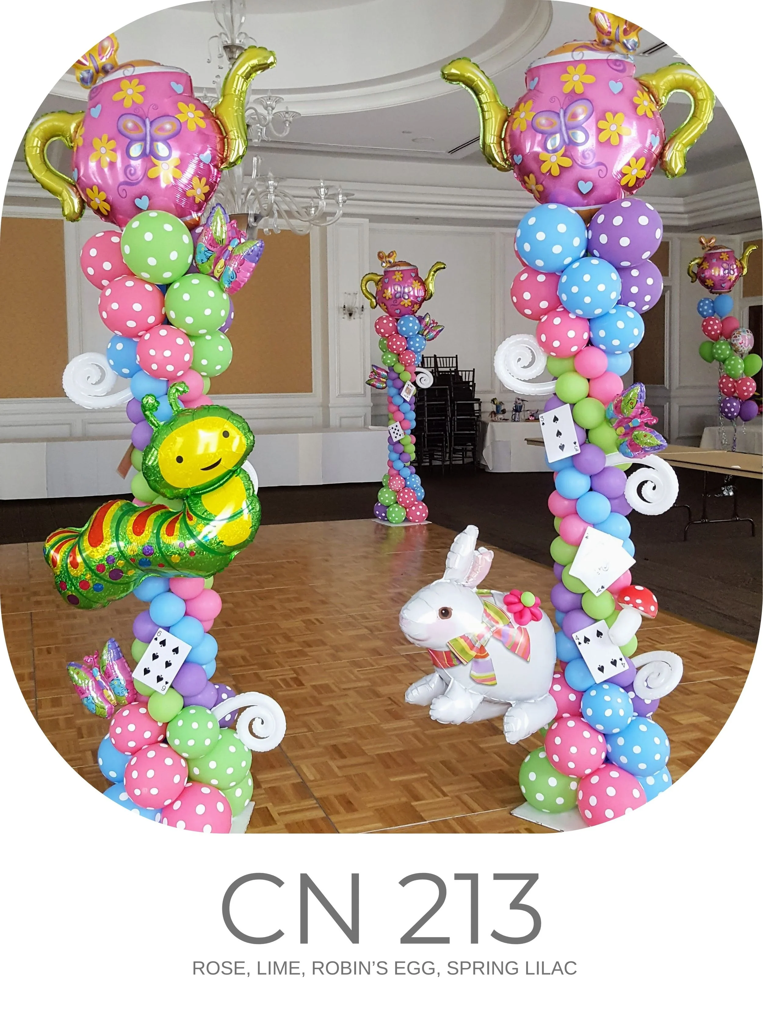 CN 213.jpg
