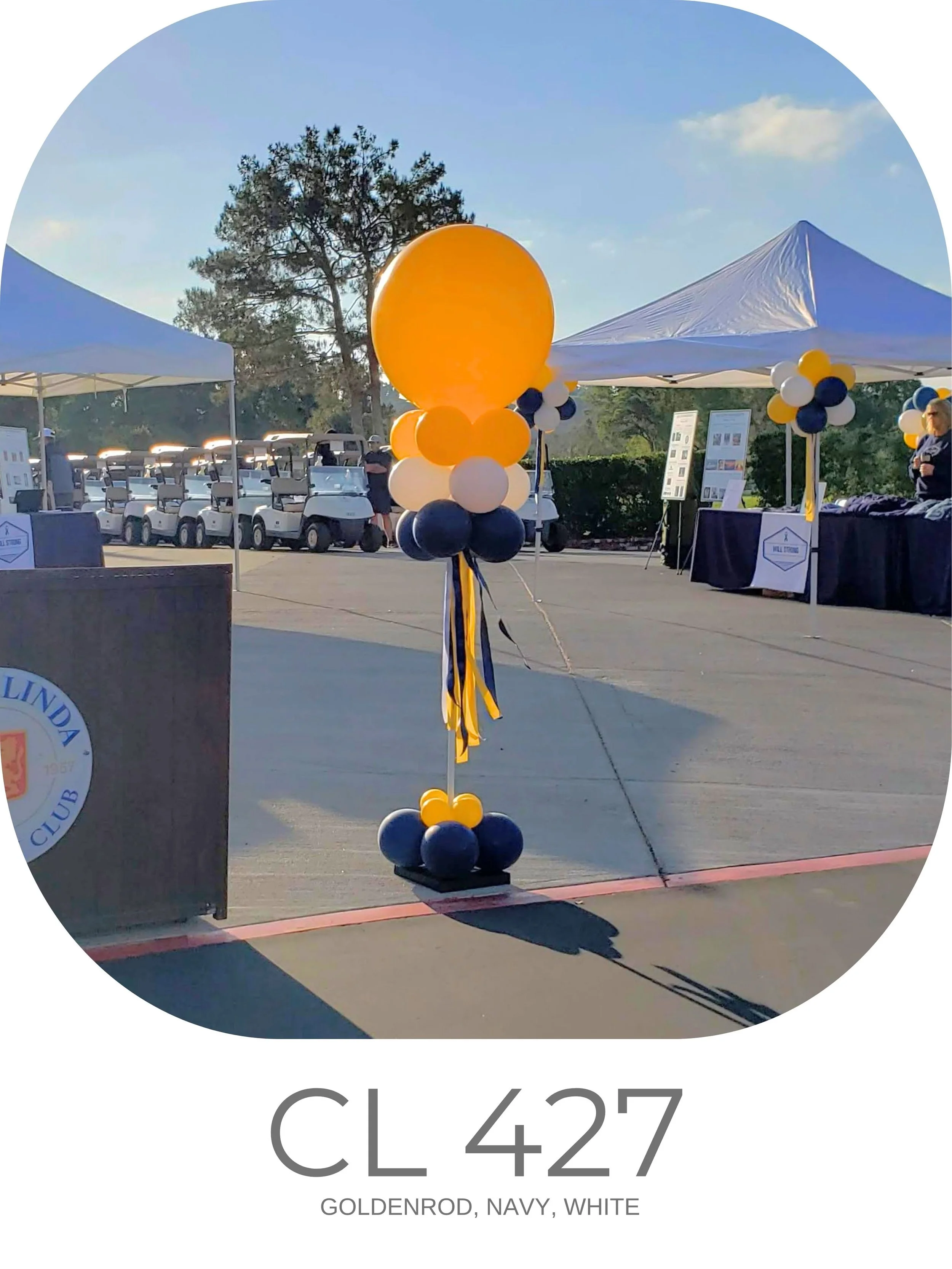 CL 427.jpg