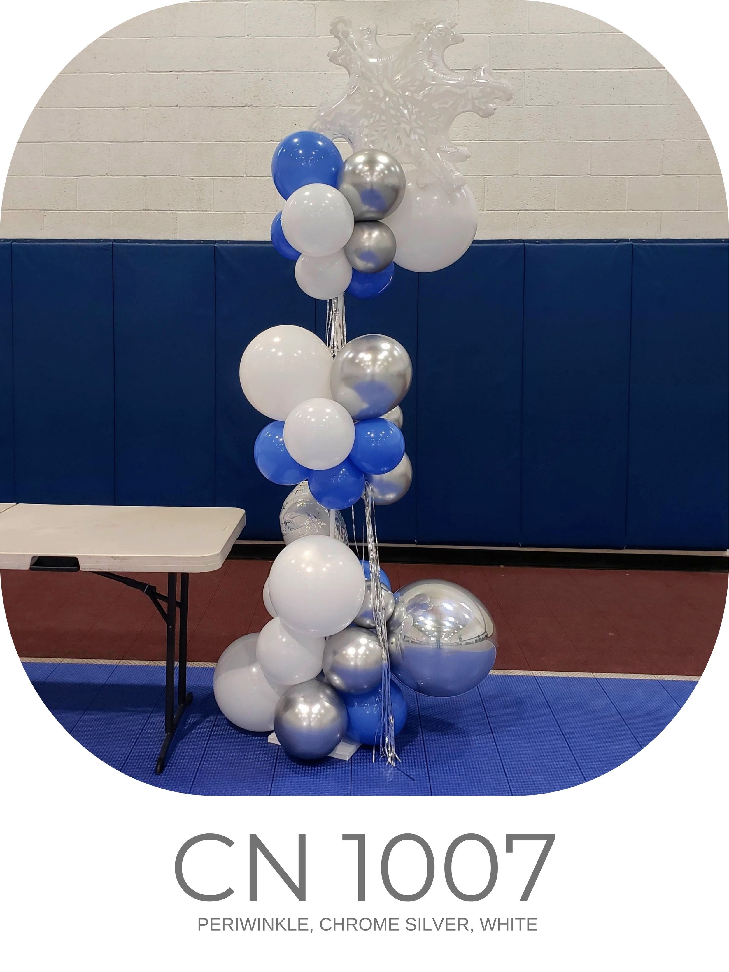 CN 1007.jpg