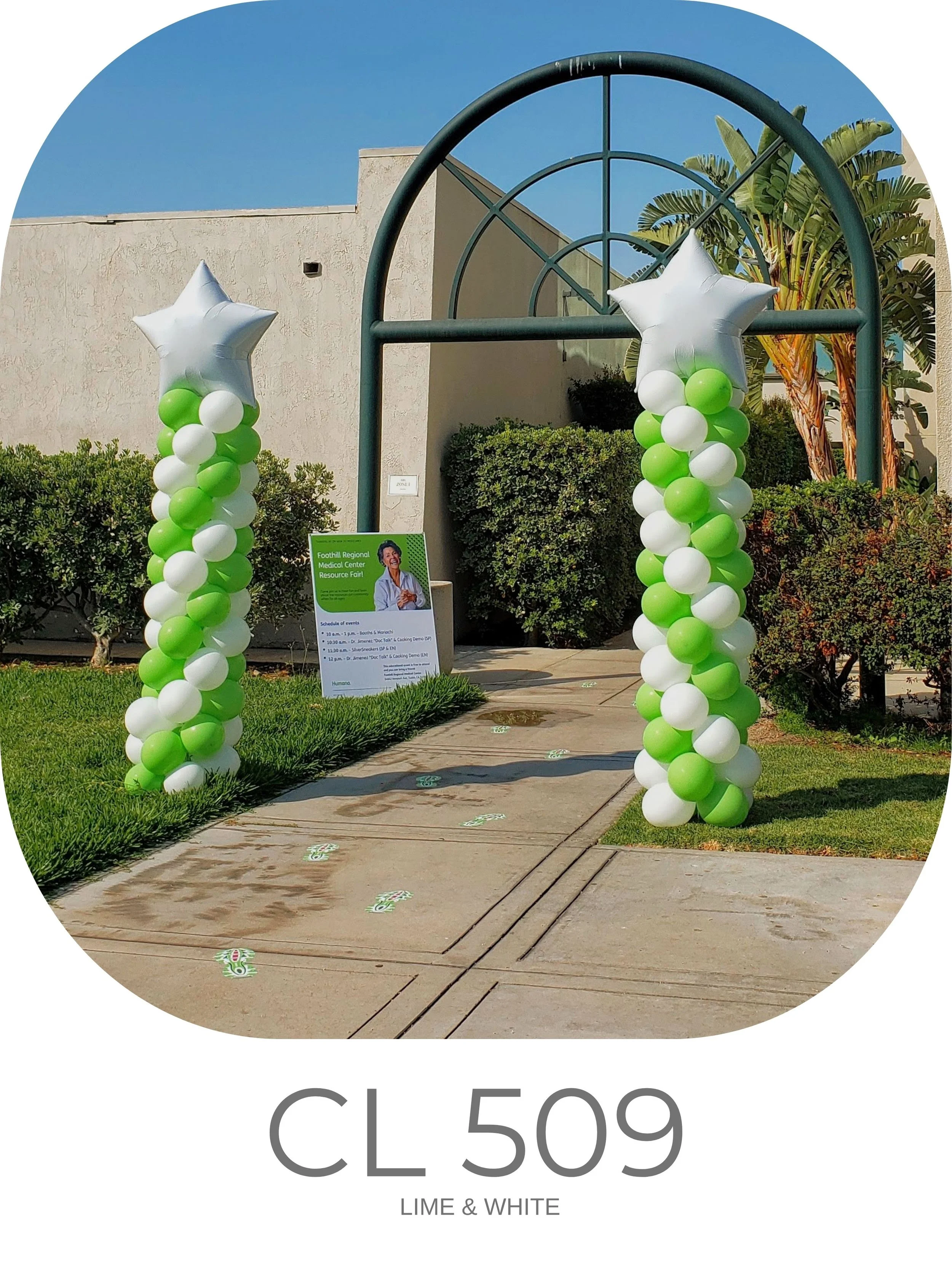 CL 509.jpg