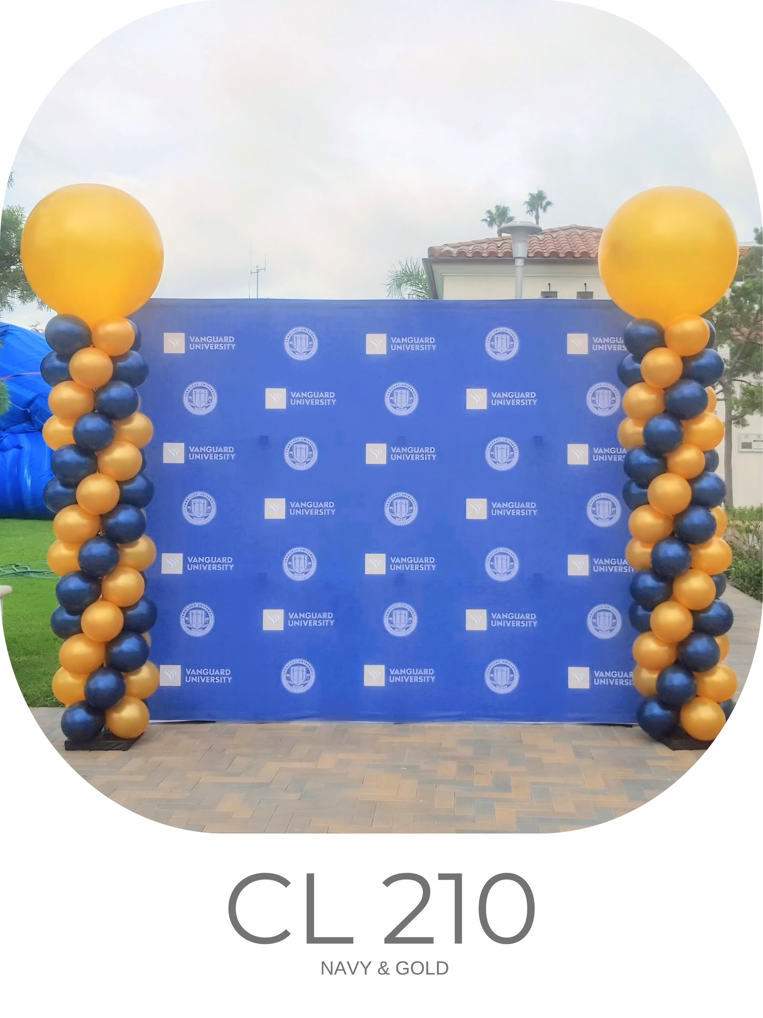 CL 210.jpg