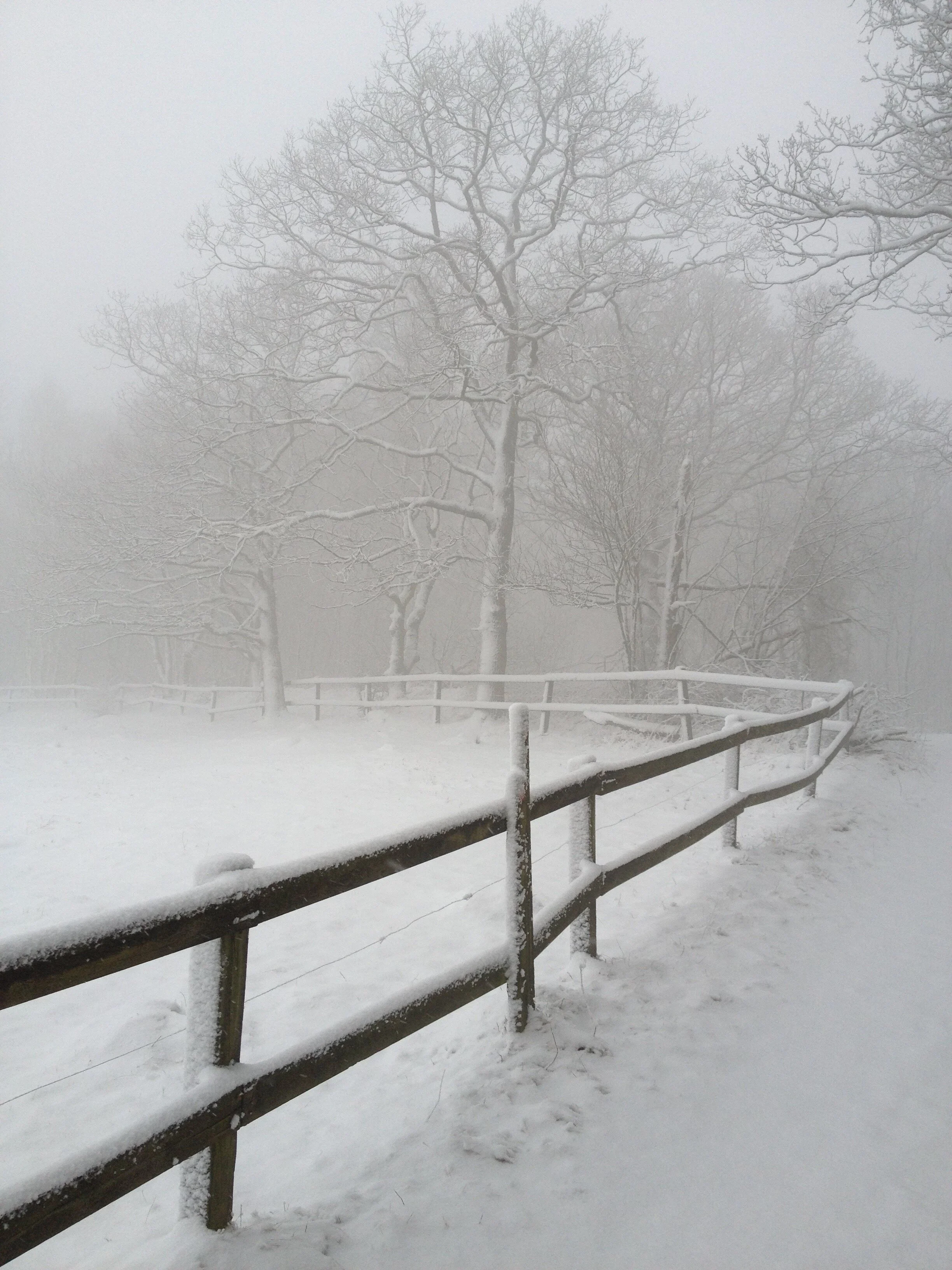 Winter at Himmelstorp - Kullaberg, Sweden