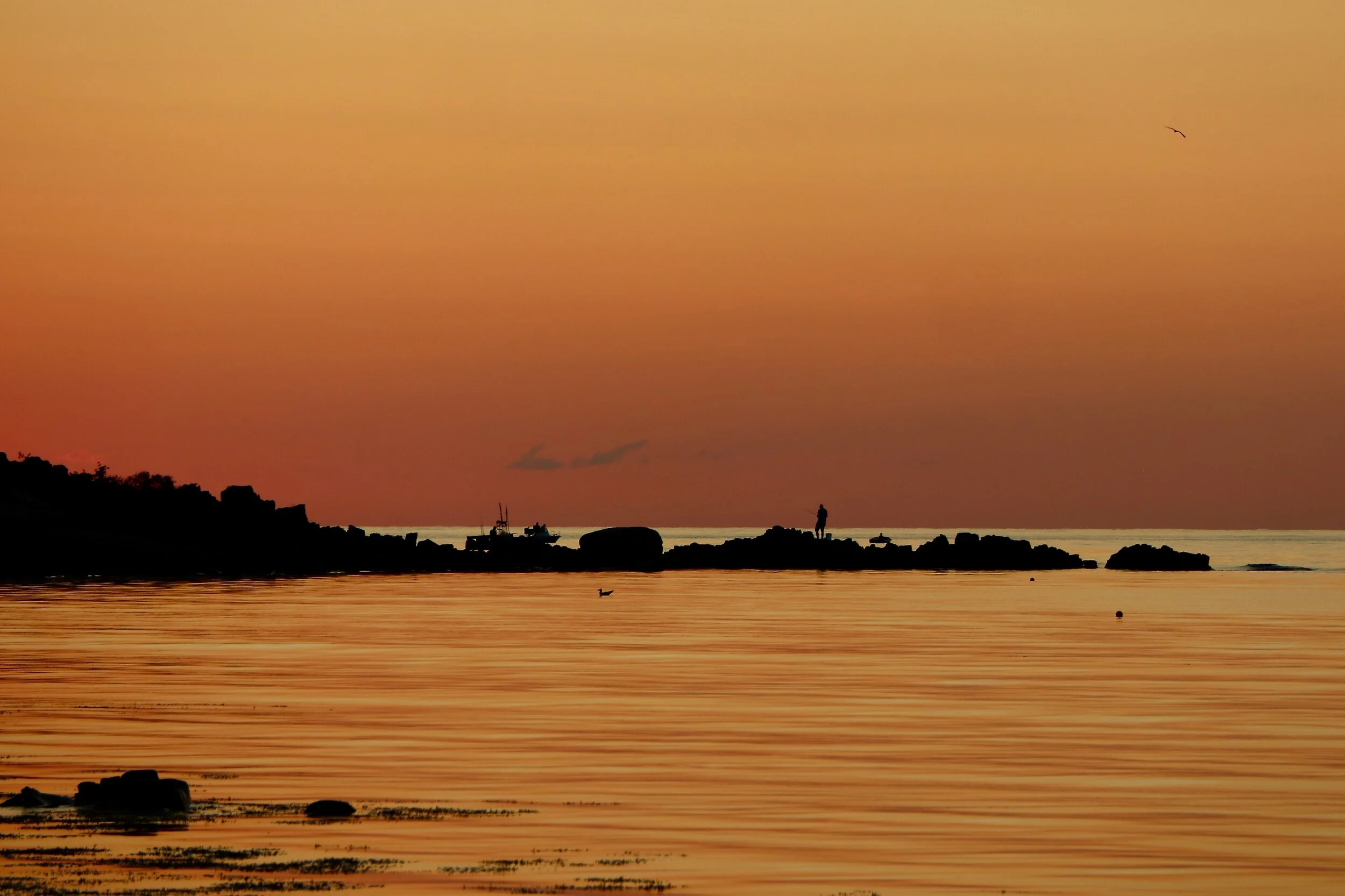 Tussan - Arild, Sweden