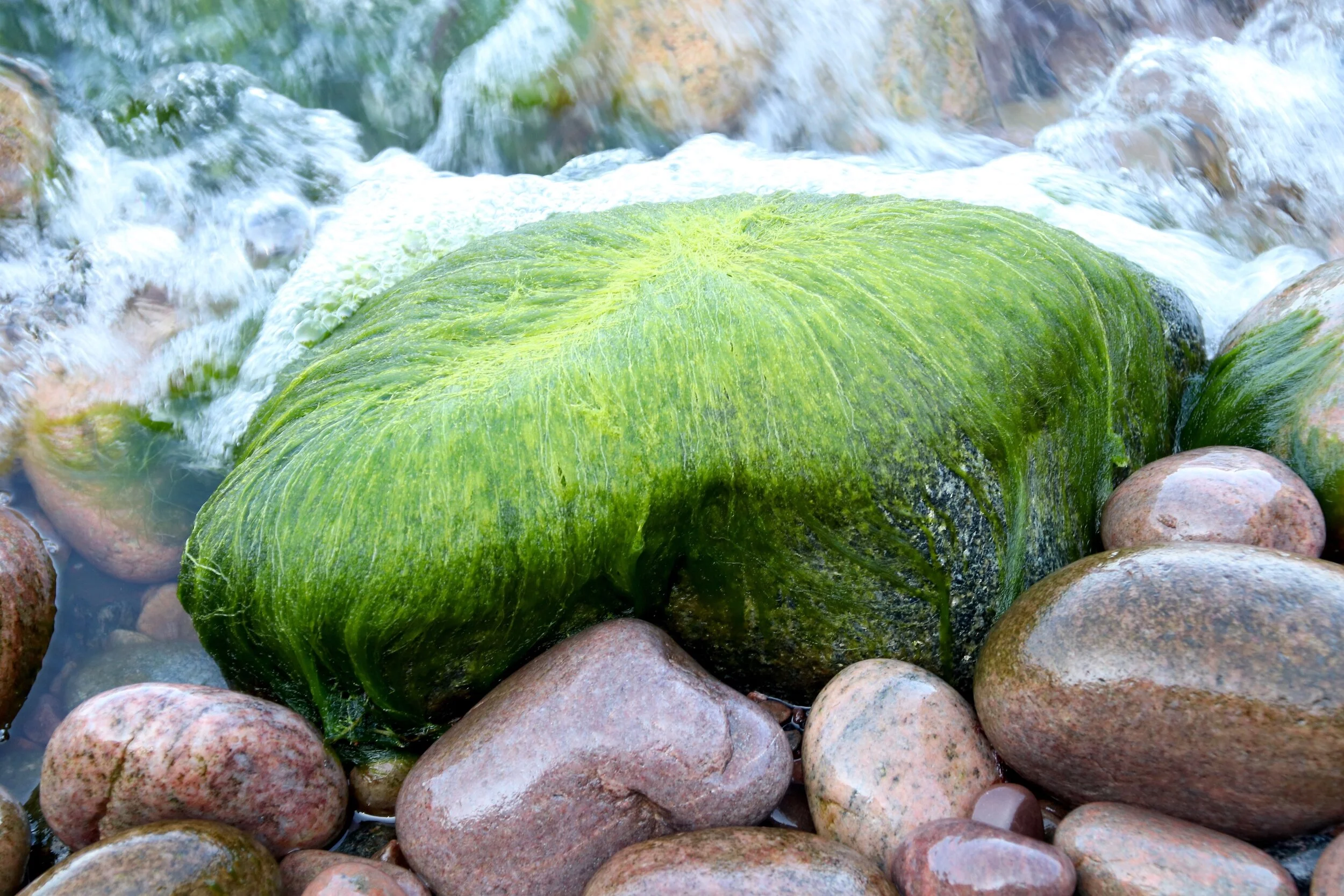 Josefinelust, Sweden