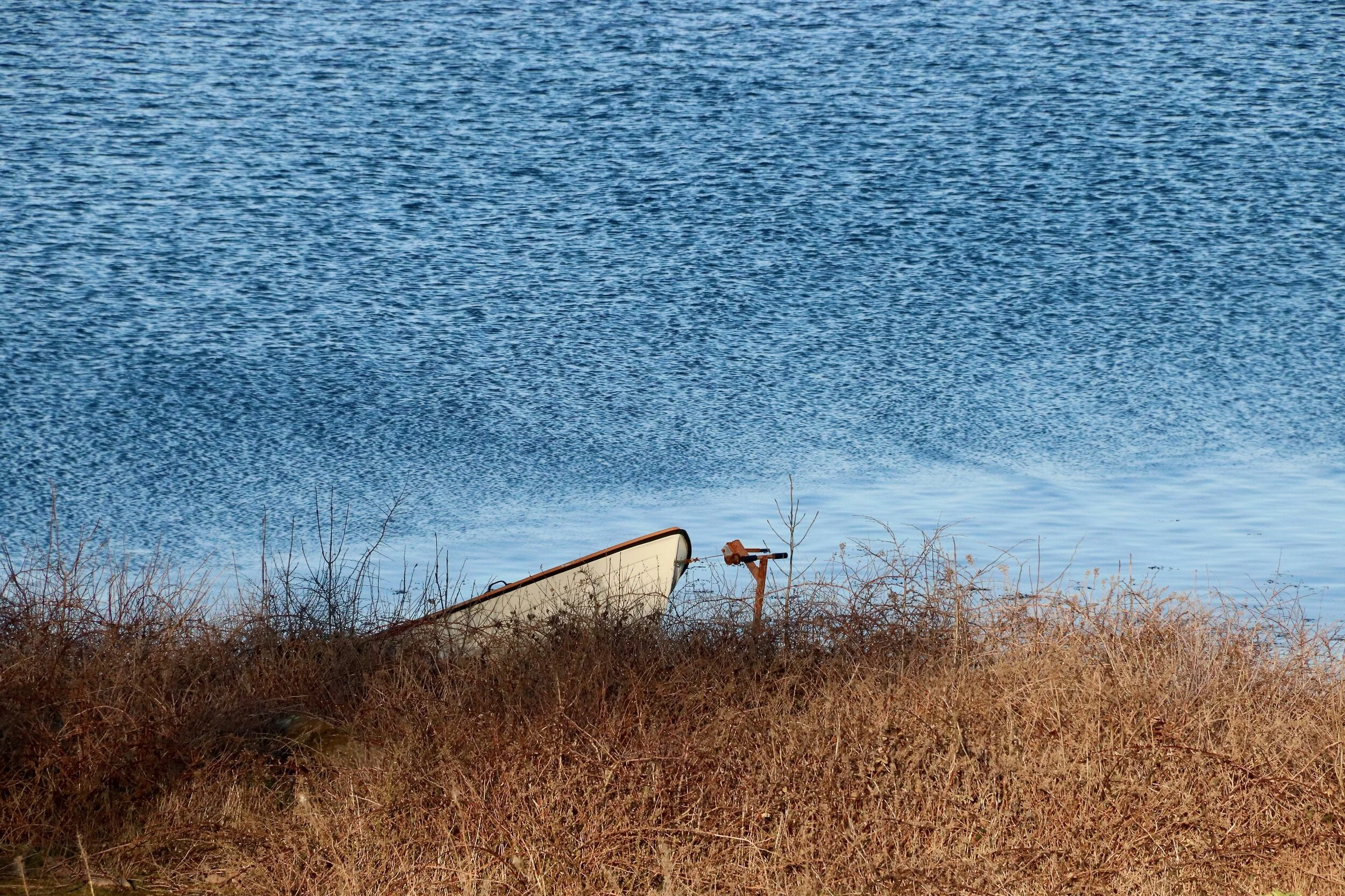 On the Shore - Skäret, Sweden