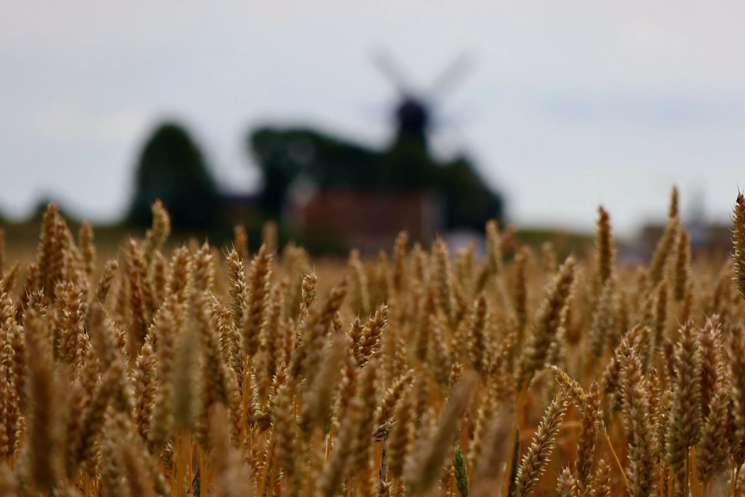 The Bräcke Mill - Lerhamn, Sweden