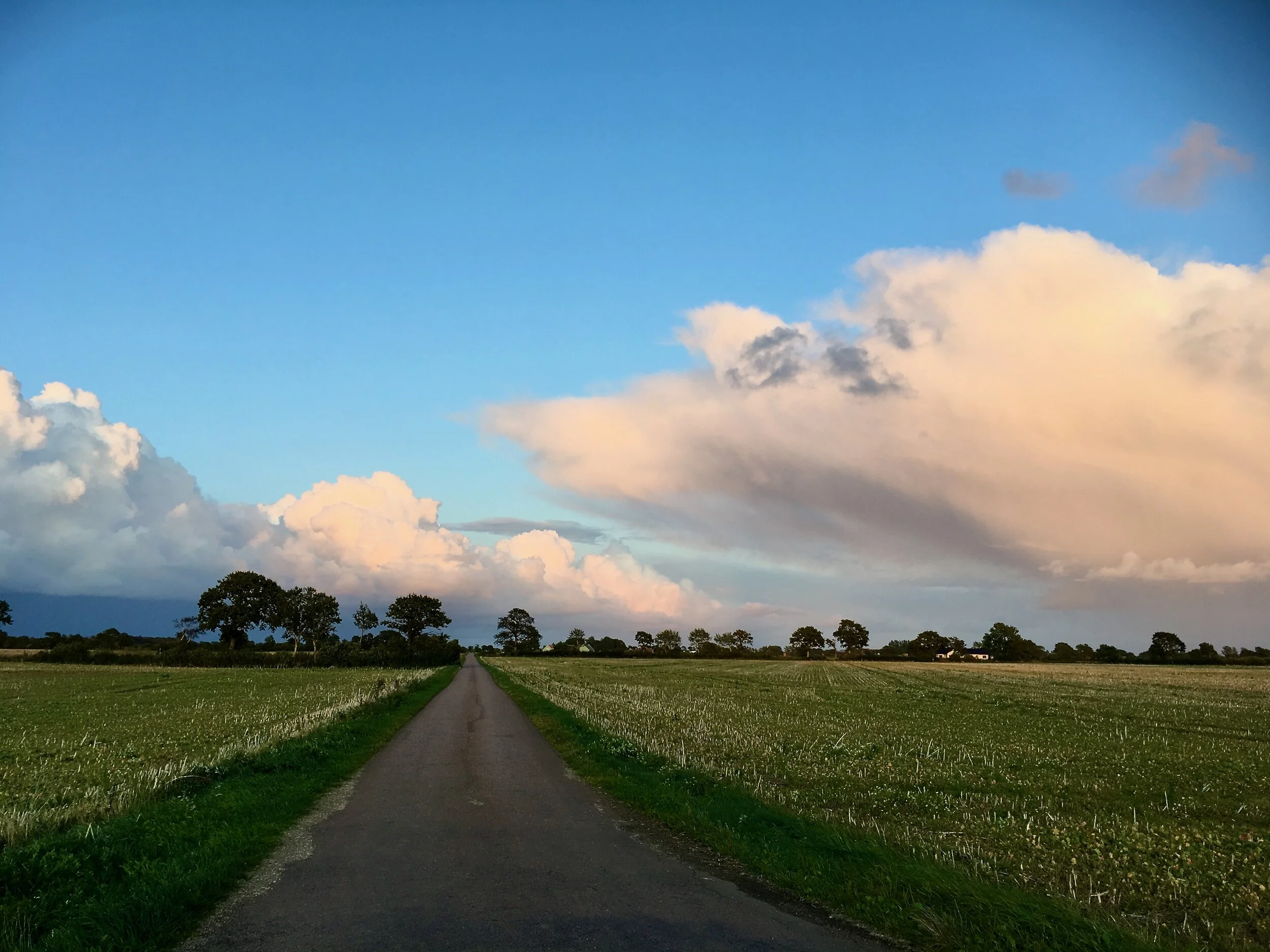 The Road Back Home - Sweden
